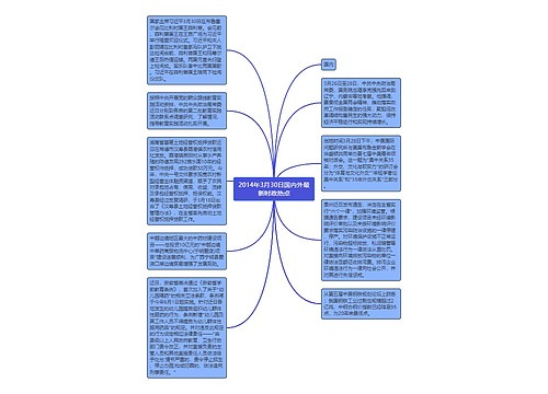 2014年3月30日国内外最新时政热点