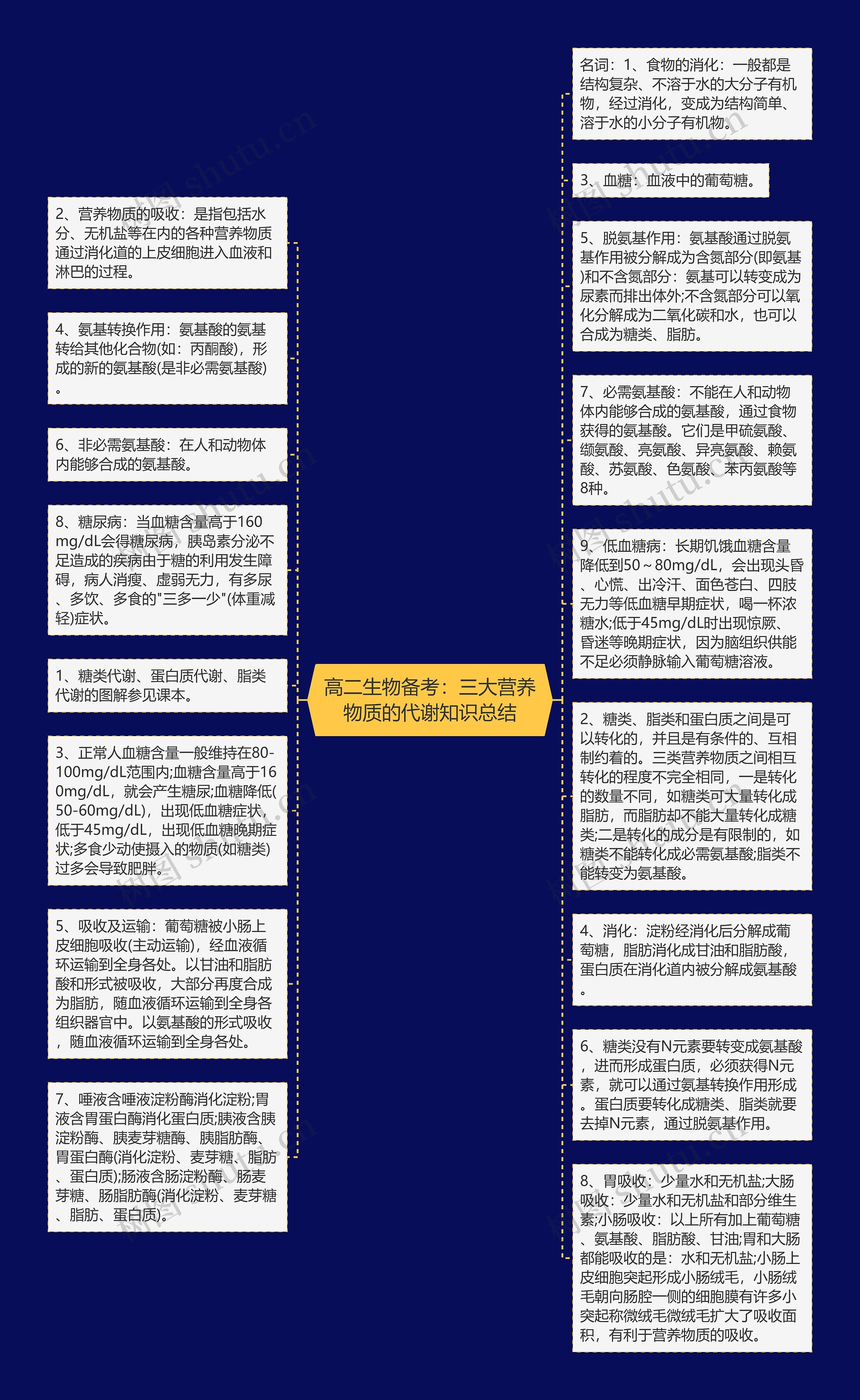 高二生物备考：三大营养物质的代谢知识总结