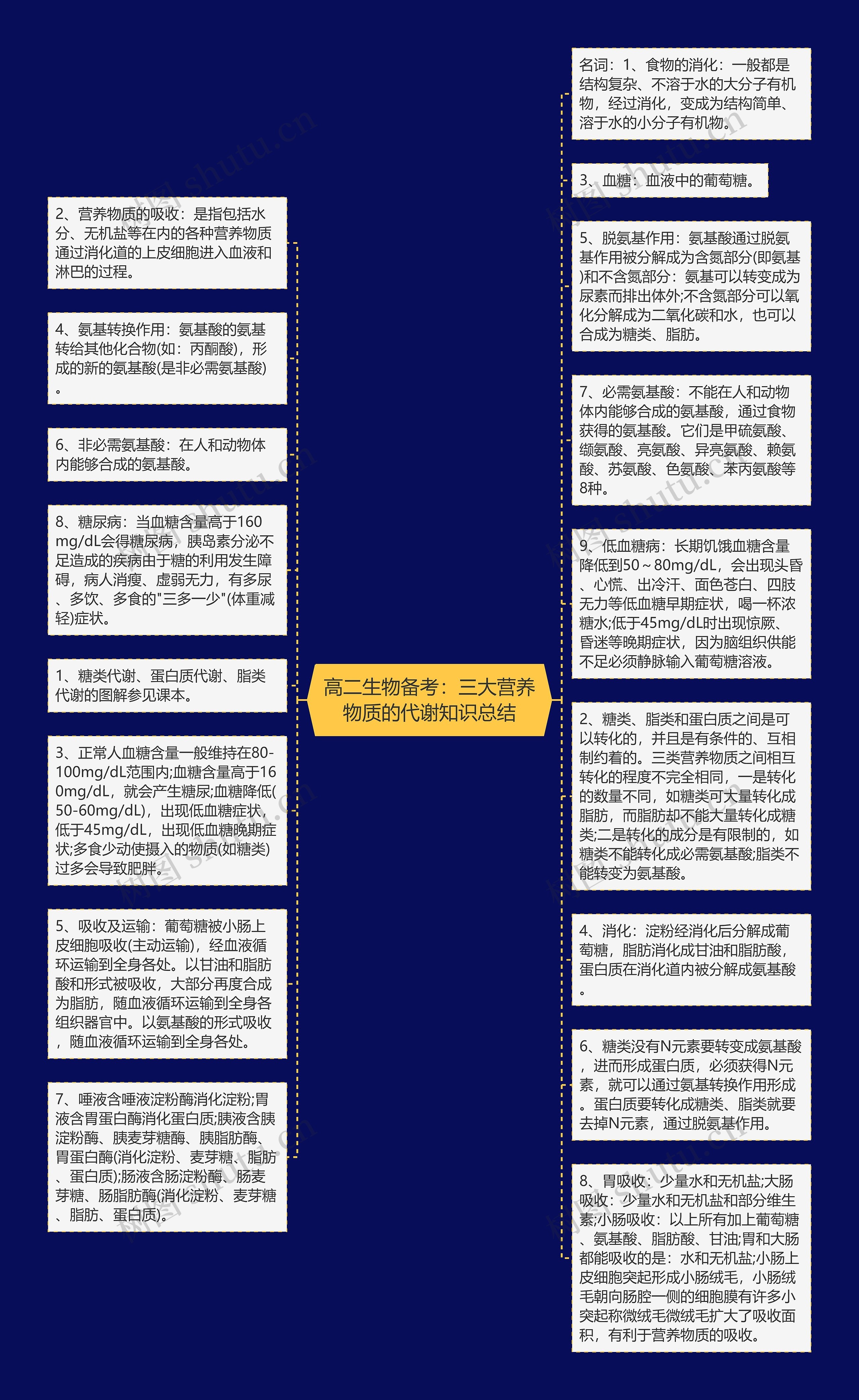 高二生物备考：三大营养物质的代谢知识总结思维导图