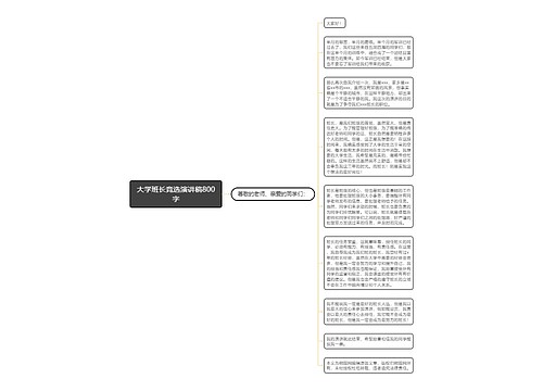 大学班长竞选演讲稿800字