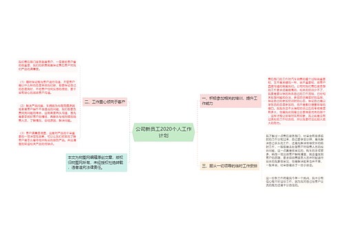 公司新员工2020个人工作计划