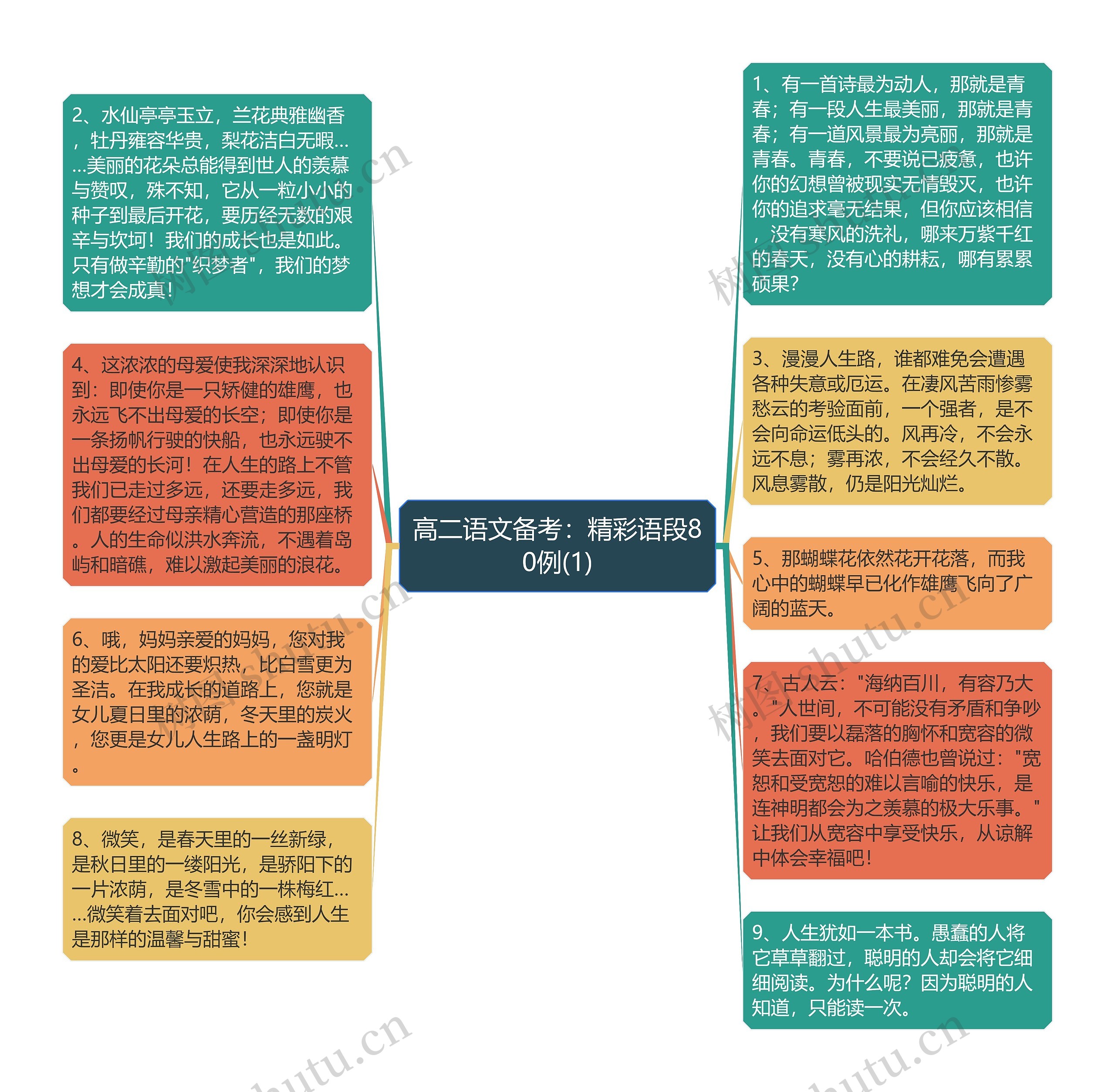 高二语文备考：精彩语段80例(1)思维导图