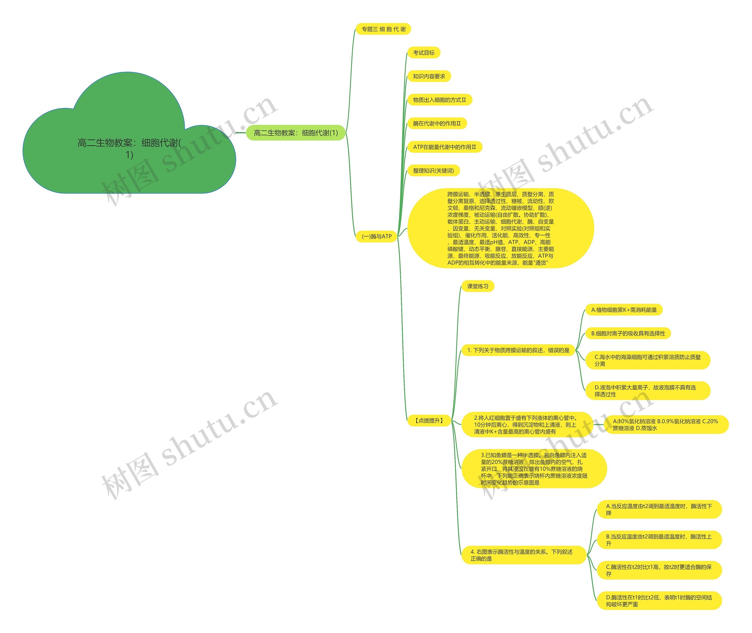 高二生物教案：细胞代谢(1)思维导图