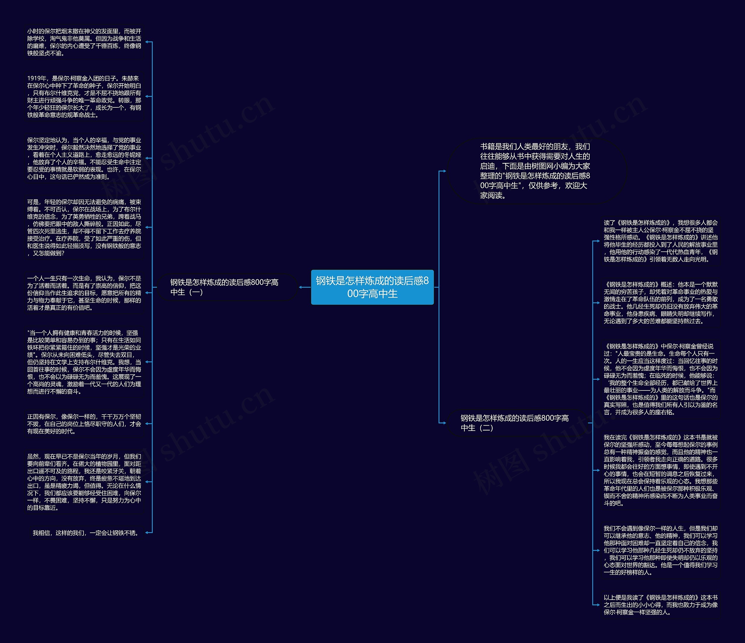 钢铁是怎样炼成的读后感800字高中生思维导图