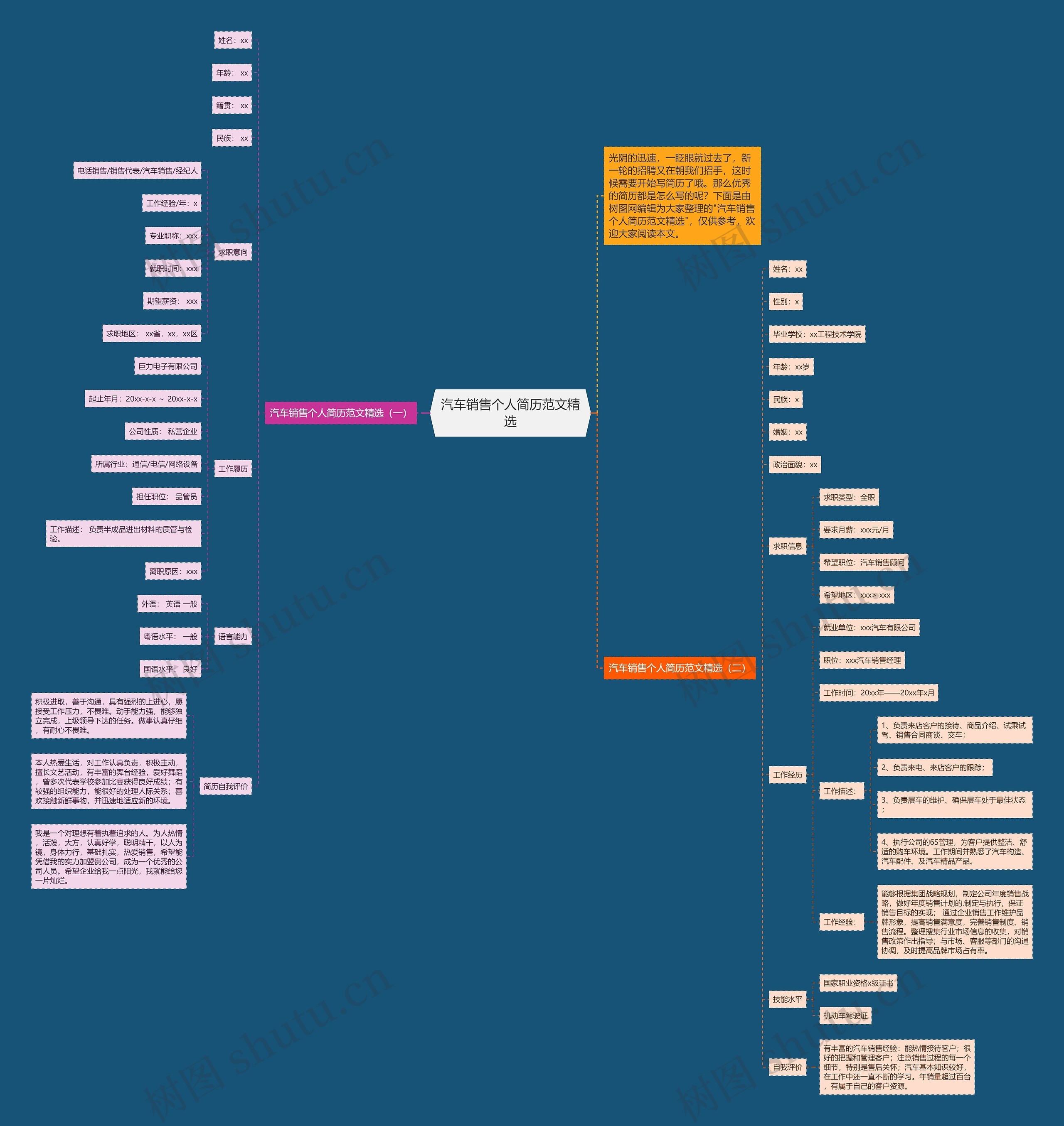 汽车销售个人简历范文精选思维导图