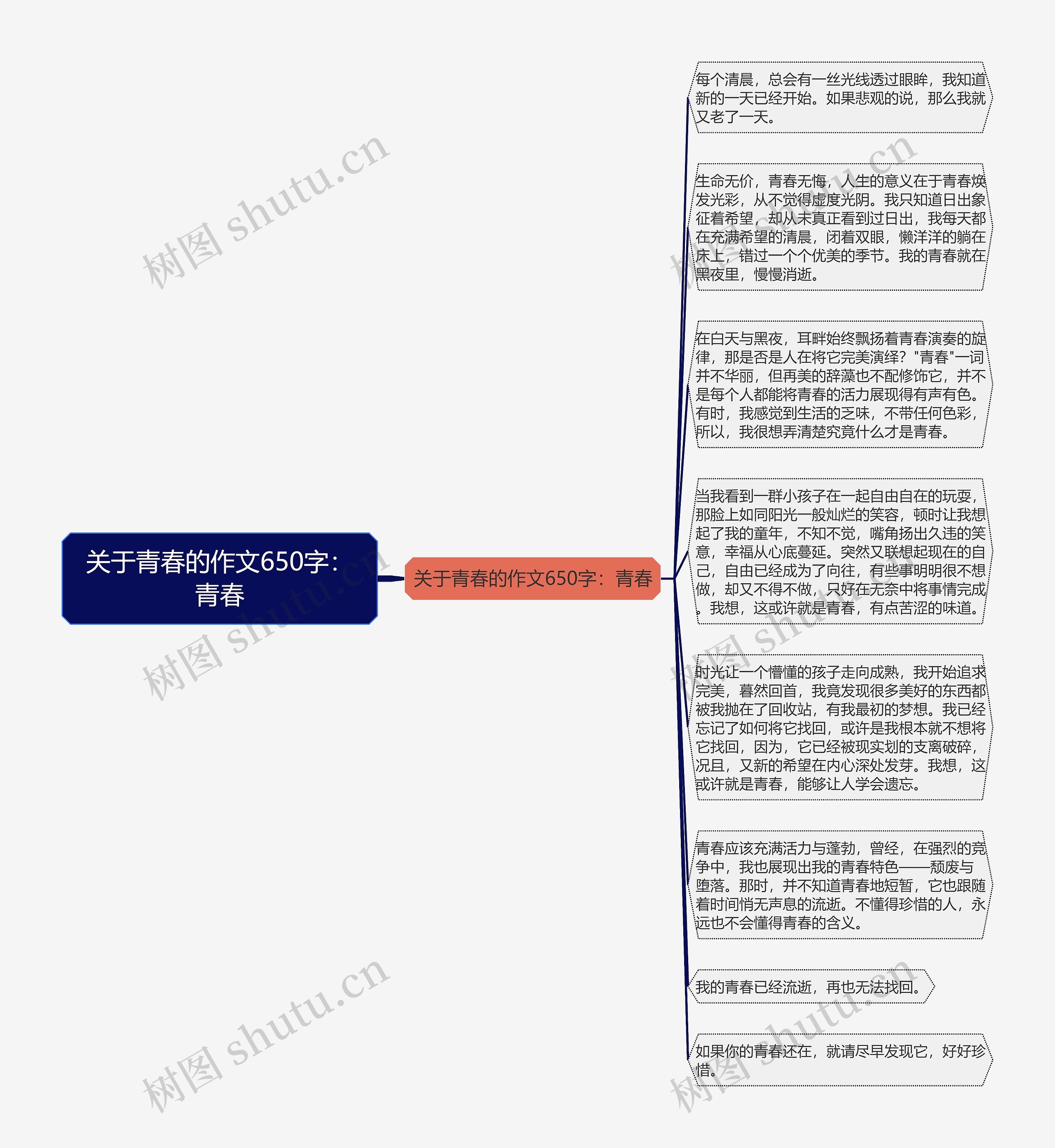 关于青春的作文650字：青春思维导图