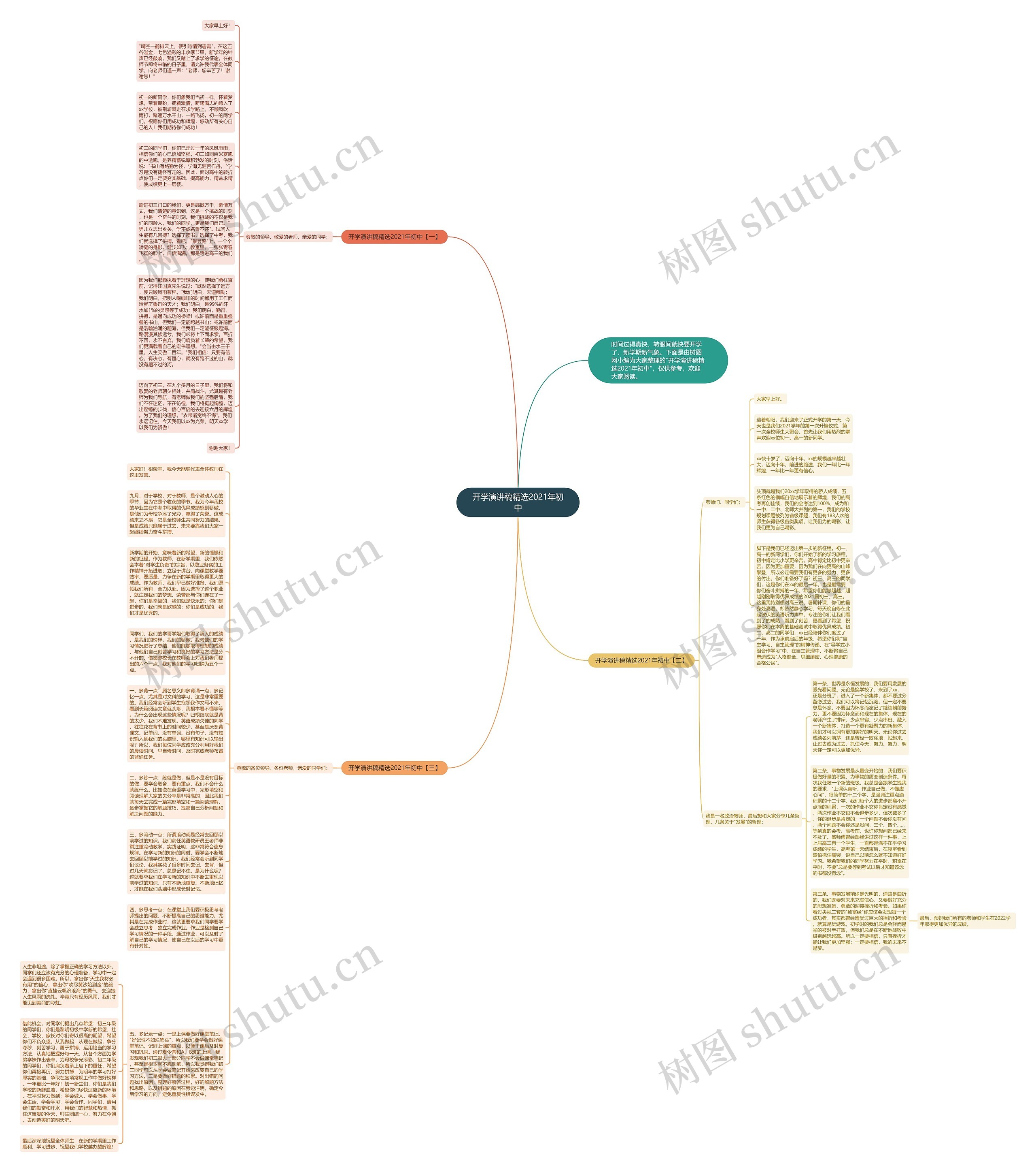开学演讲稿精选2021年初中思维导图