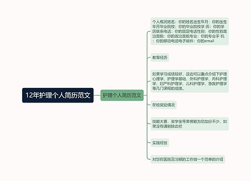 12年护理个人简历范文