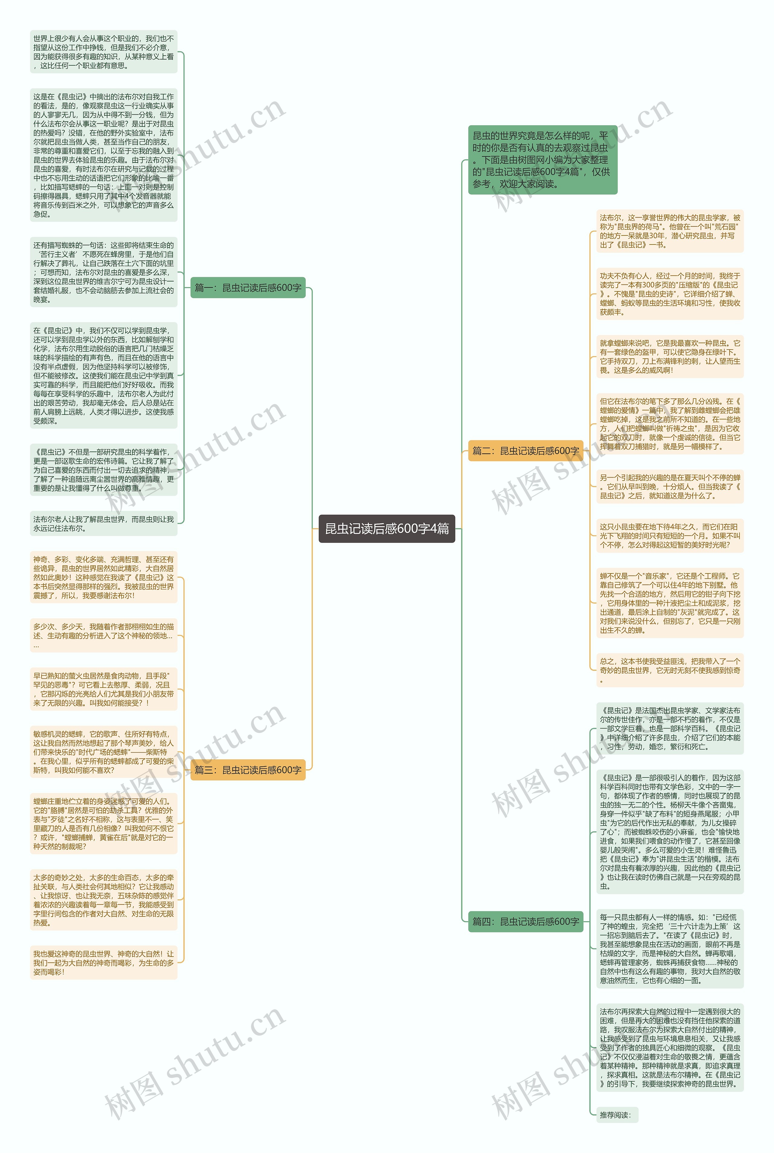 昆虫记读后感600字4篇思维导图