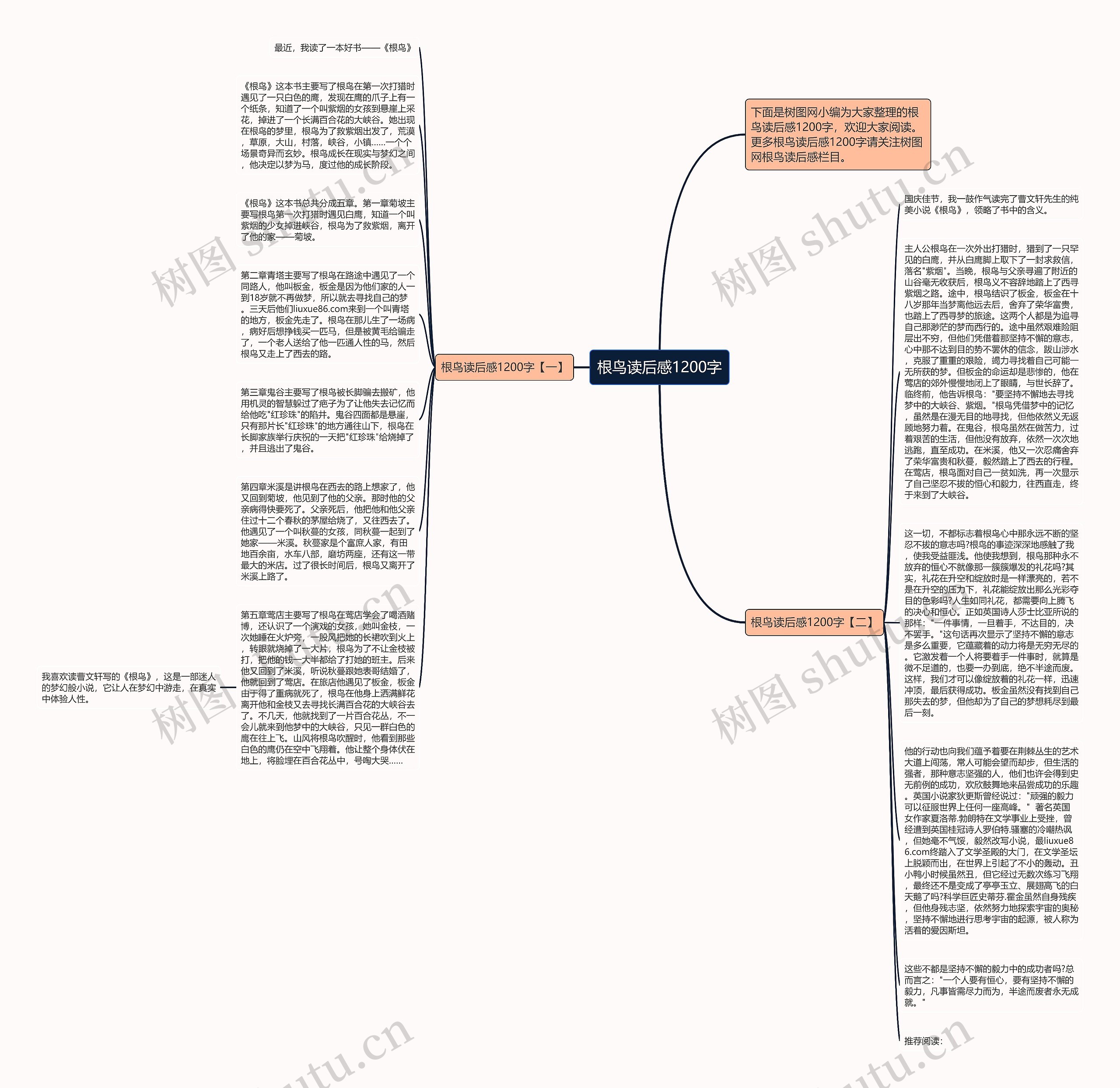 根鸟读后感1200字思维导图