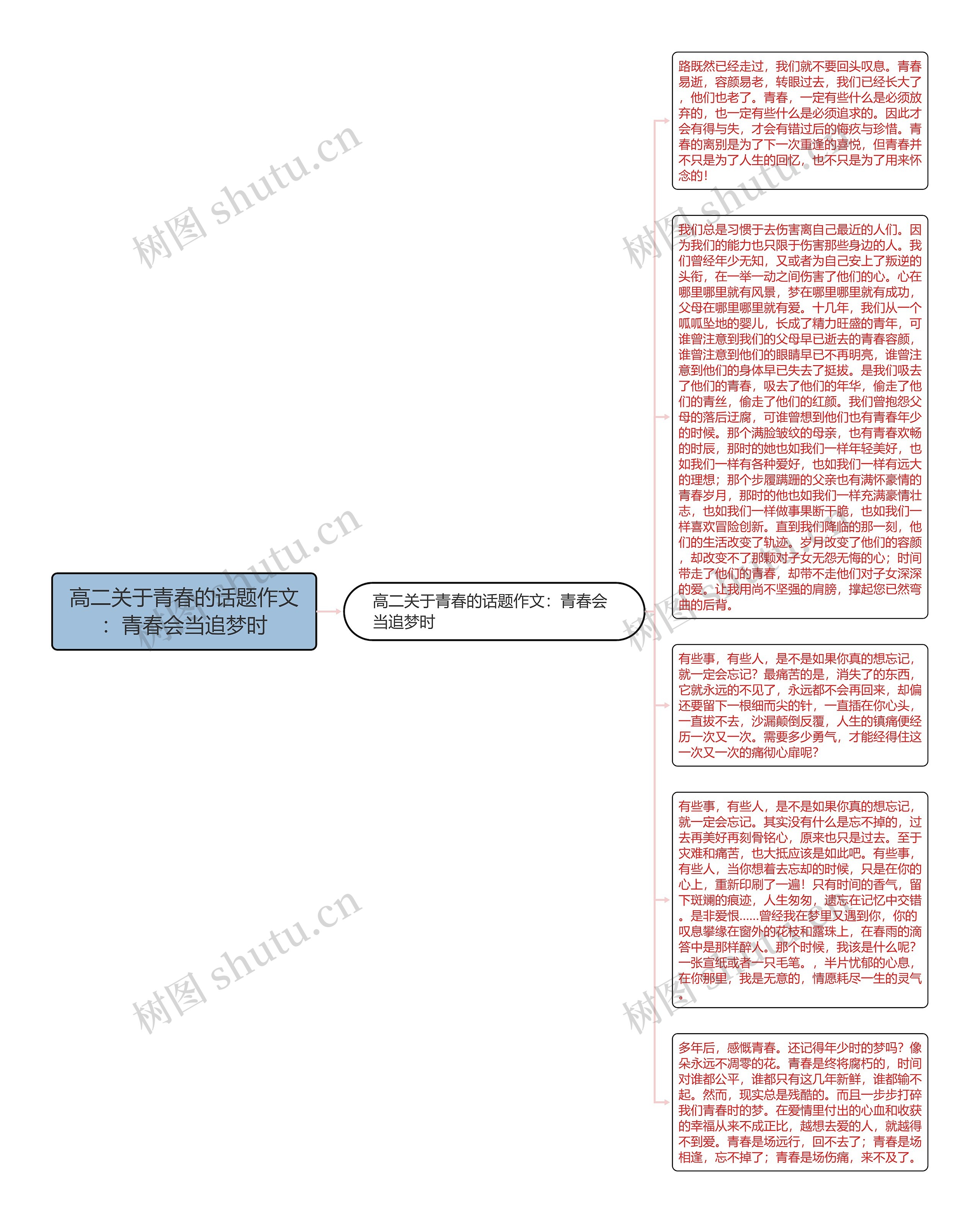 高二关于青春的话题作文：青春会当追梦时思维导图