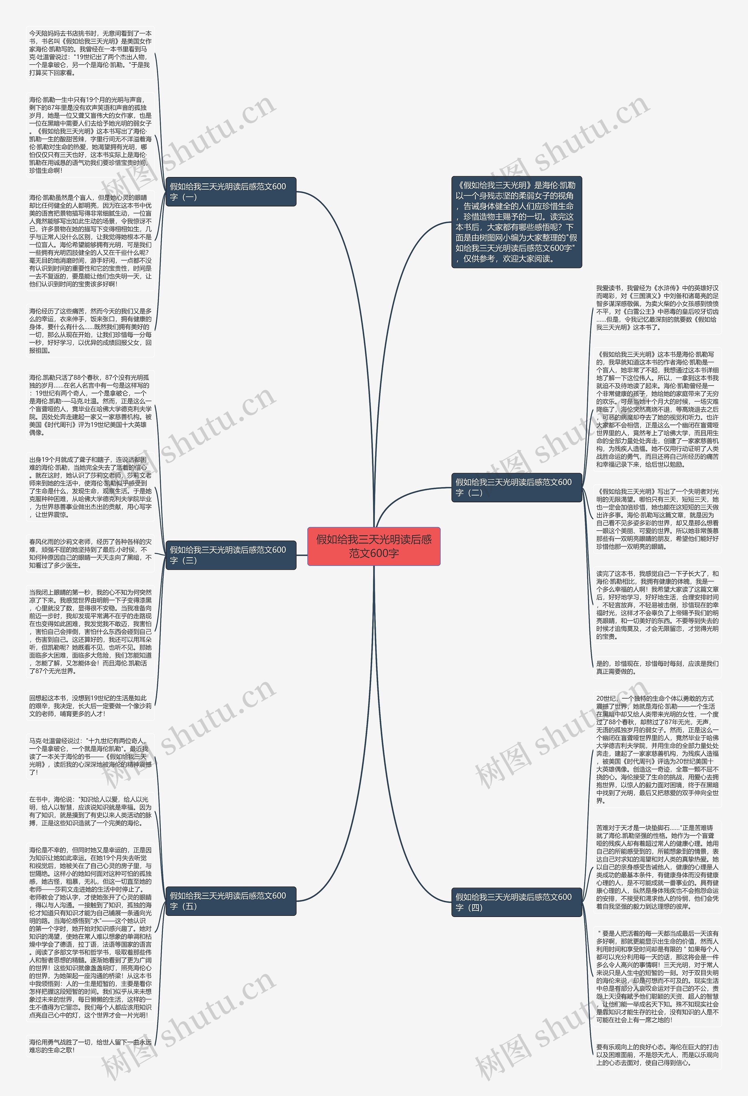 假如给我三天光明读后感范文600字思维导图