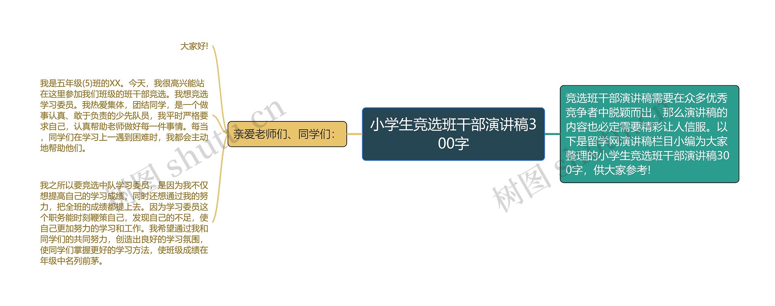 小学生竞选班干部演讲稿300字