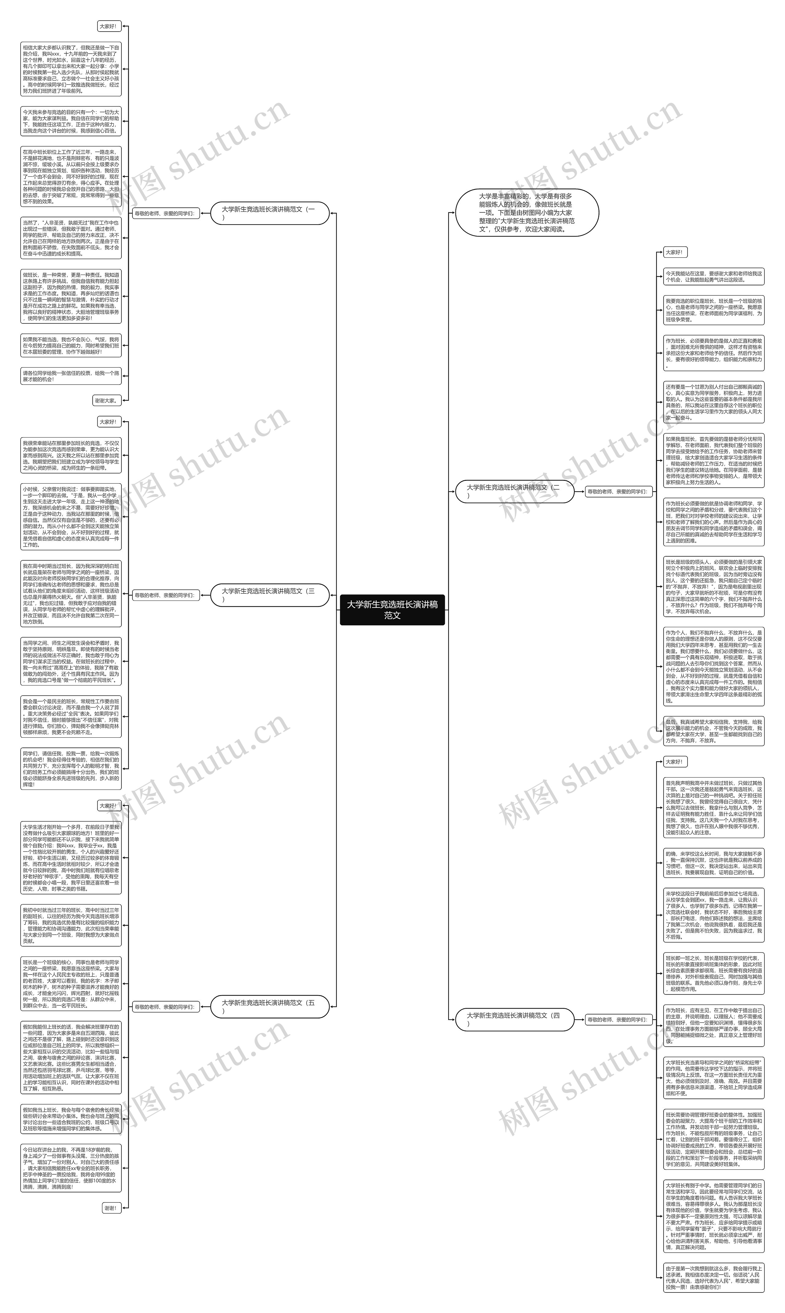 大学新生竞选班长演讲稿范文思维导图