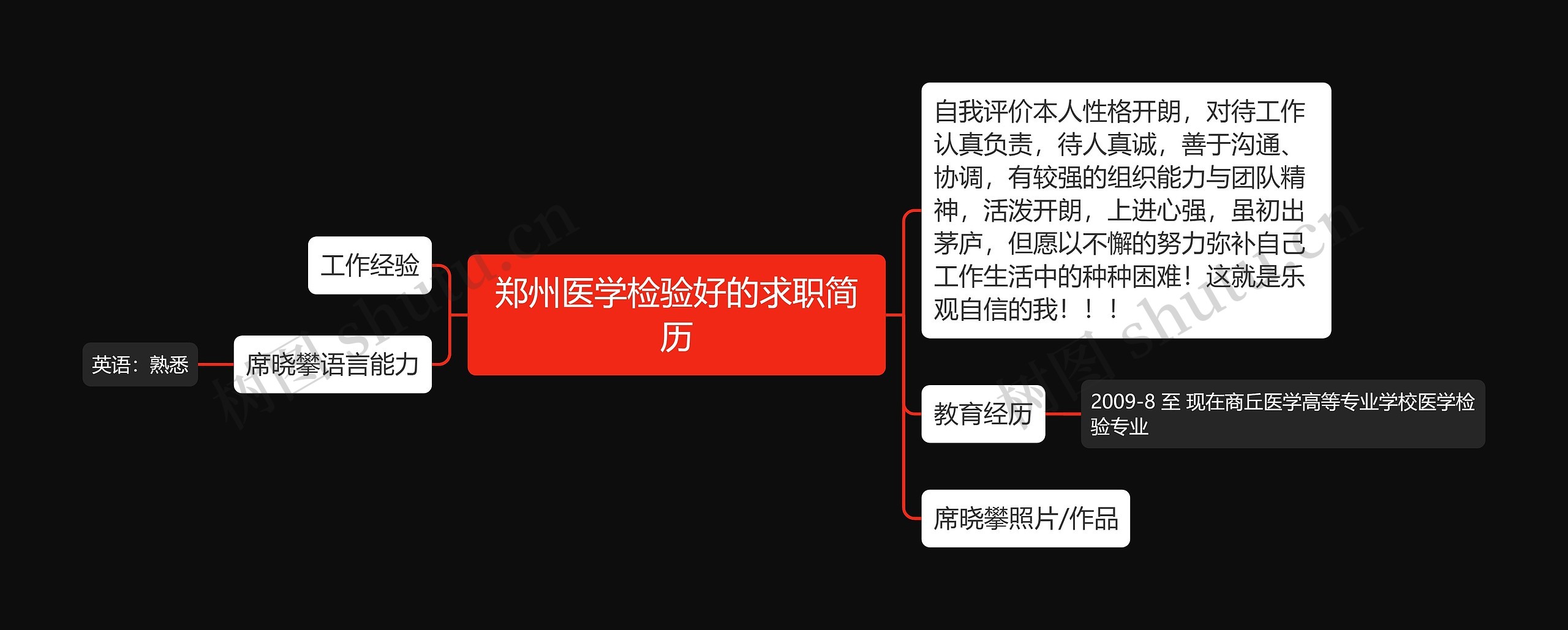 郑州医学检验好的求职简历思维导图