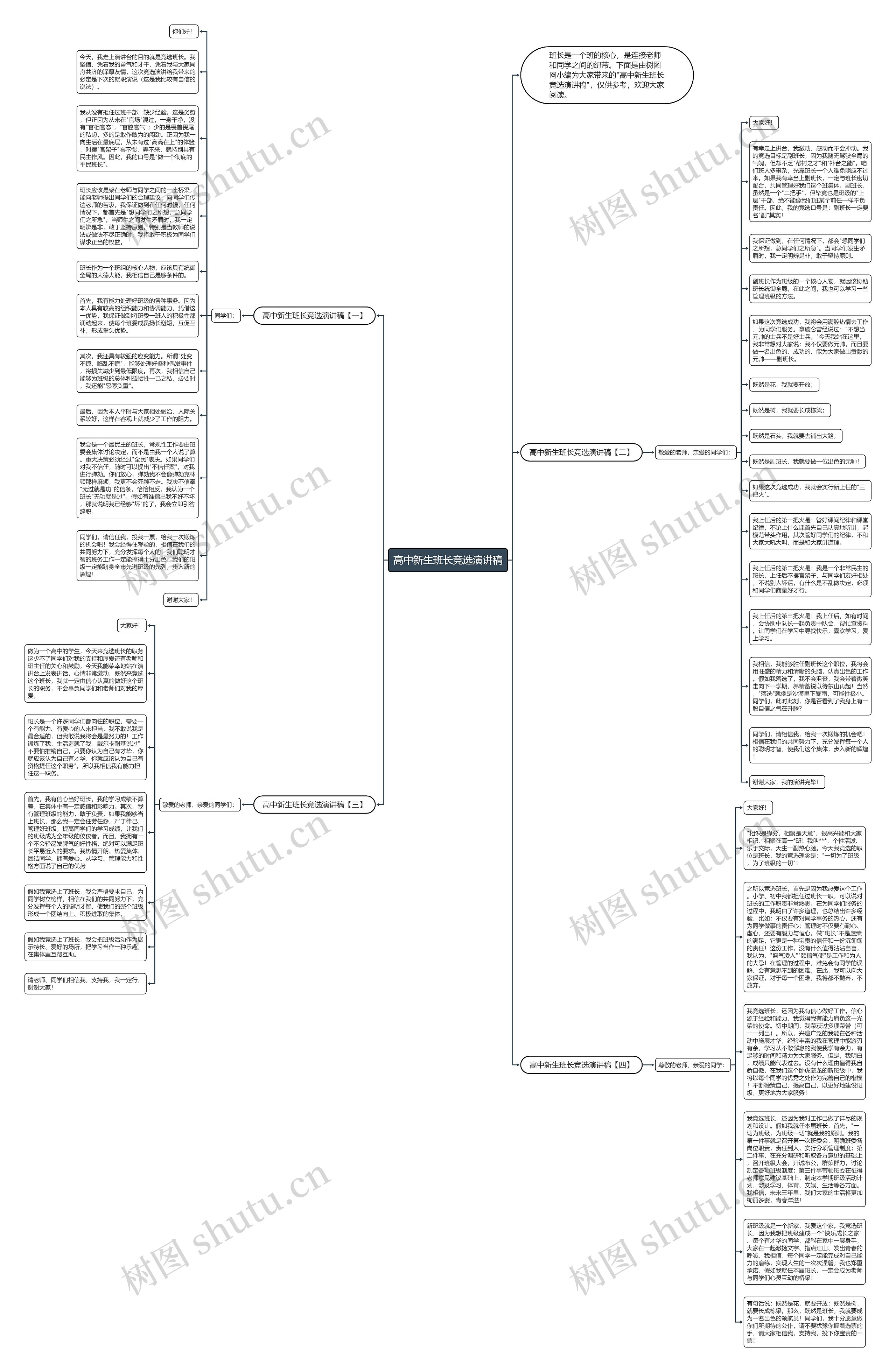 高中新生班长竞选演讲稿思维导图高清图 高中新生班长竞选演讲稿思维导图