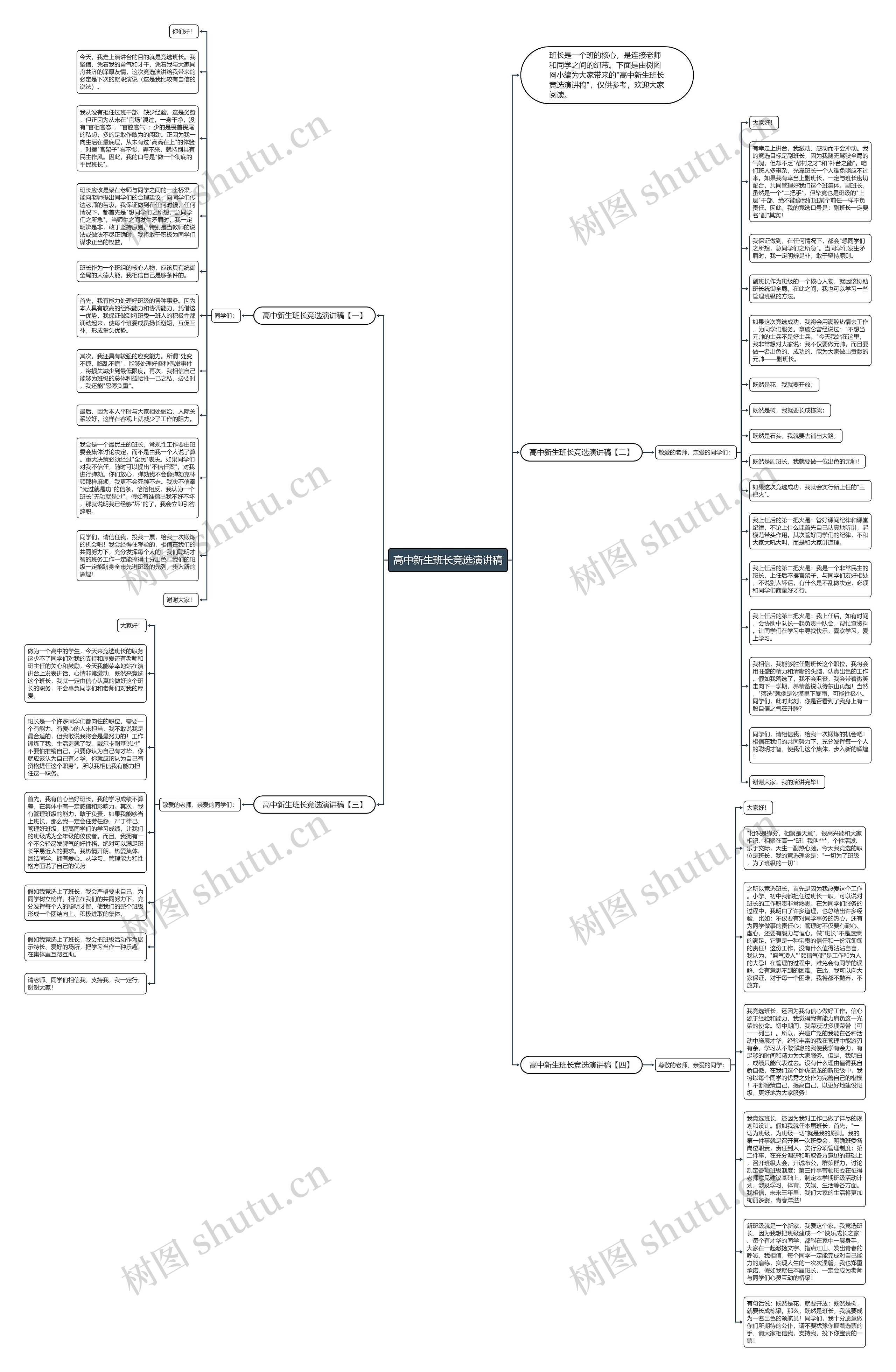 高中新生班长竞选演讲稿思维导图