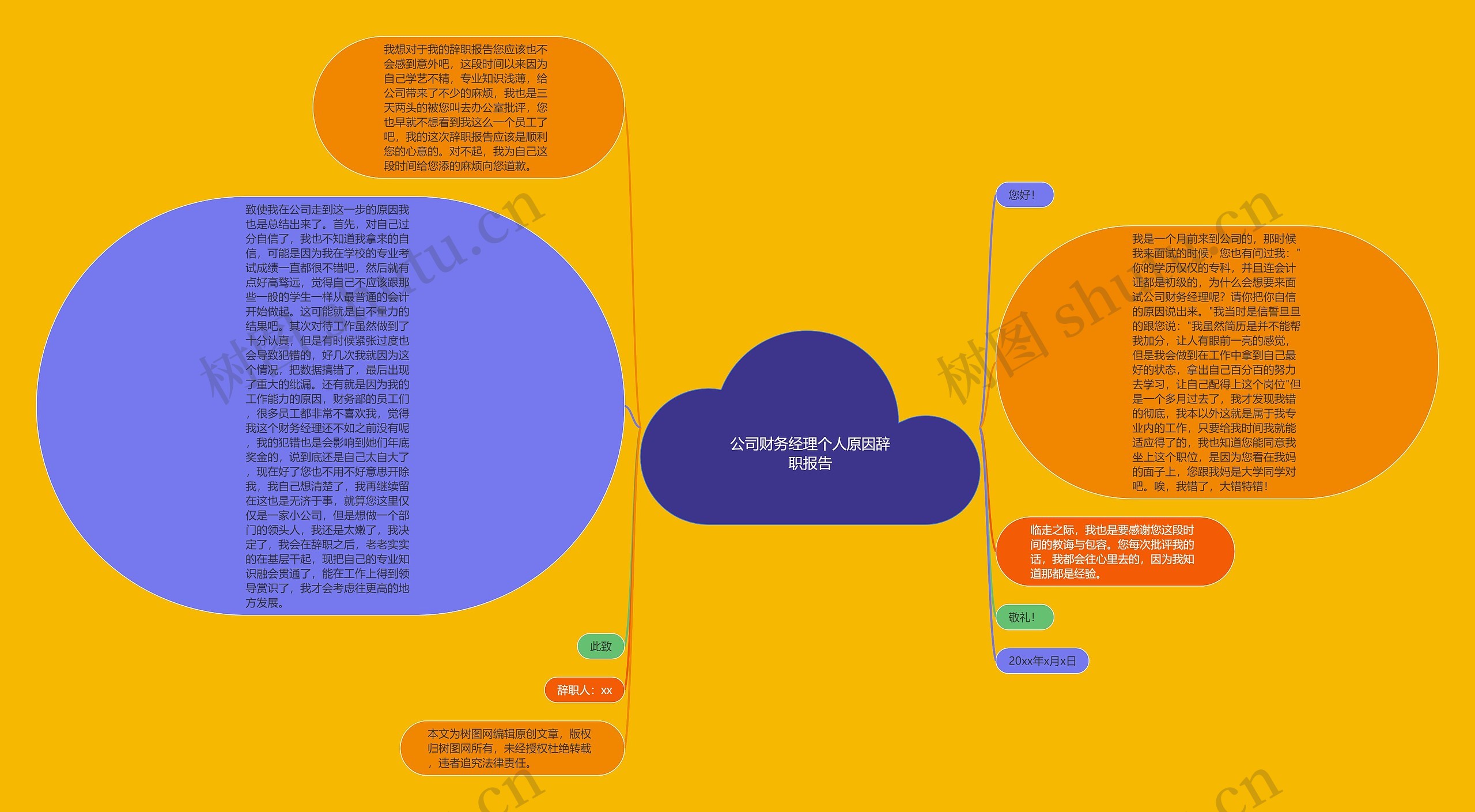 公司财务经理个人原因辞职报告思维导图