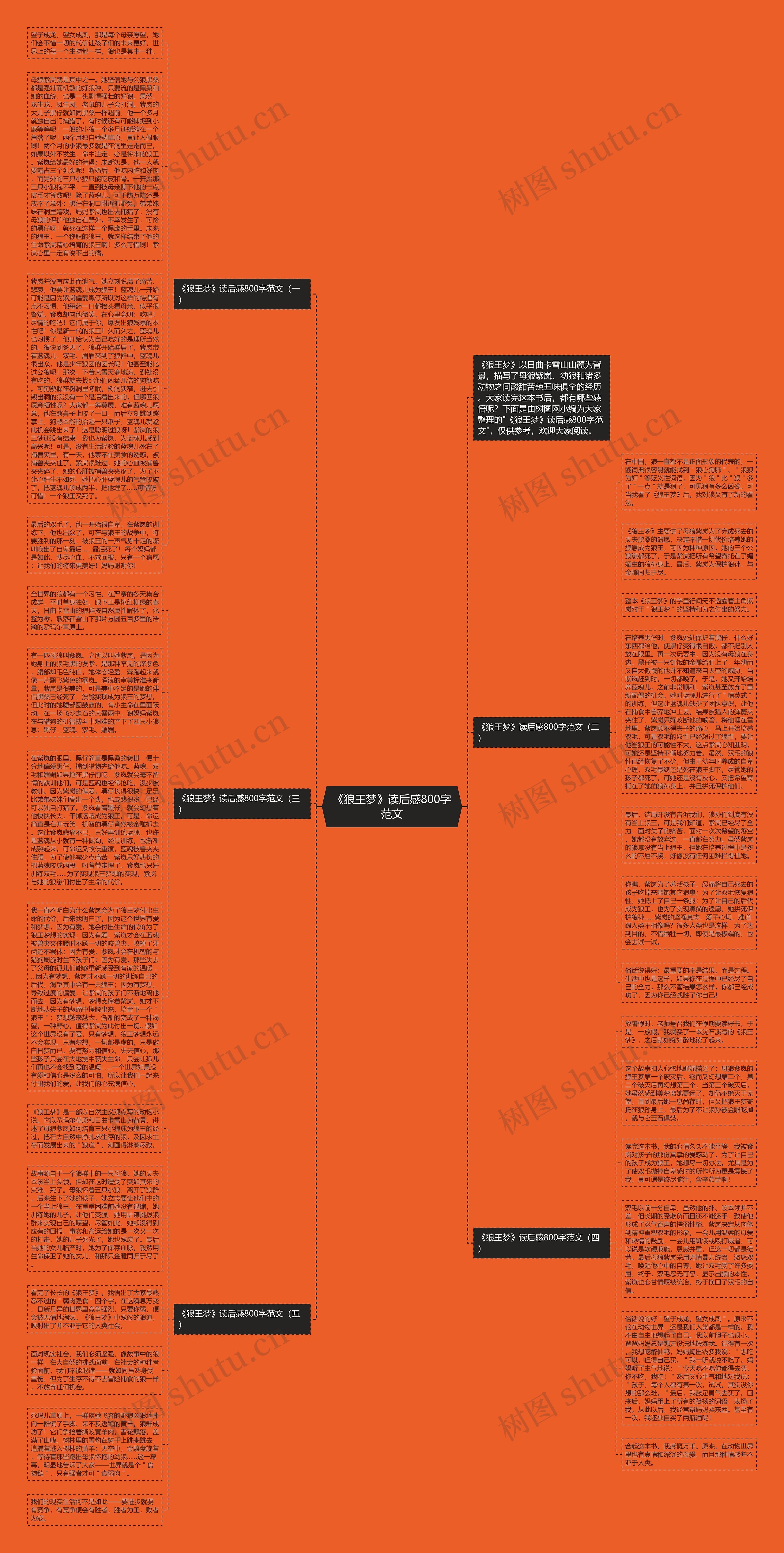 《狼王梦》读后感800字范文思维导图