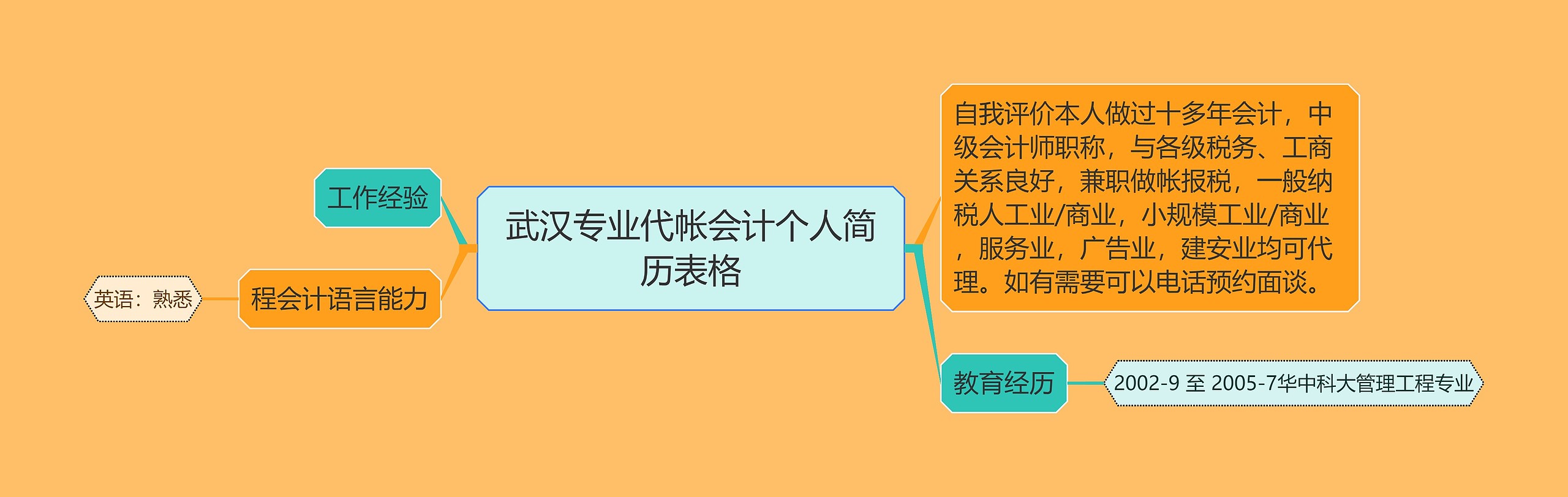 武汉专业代帐会计个人简历表格