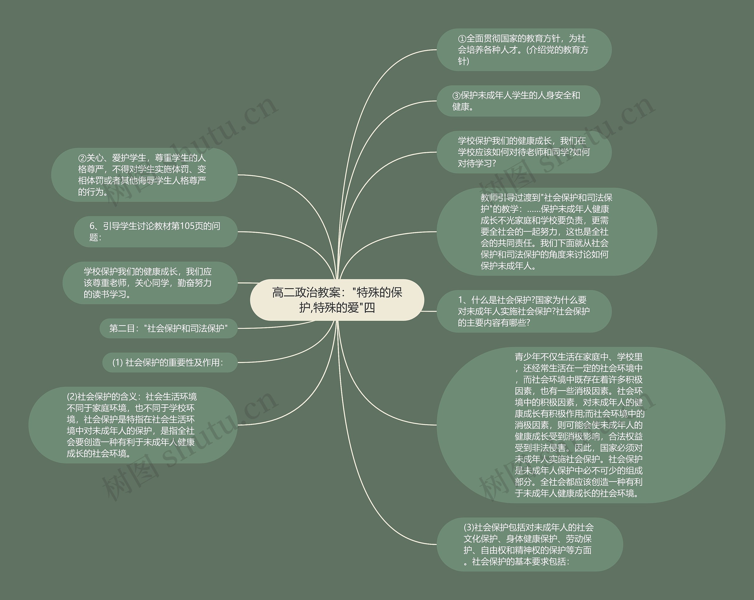 高二政治教案："特殊的保护,特殊的爱"四思维导图