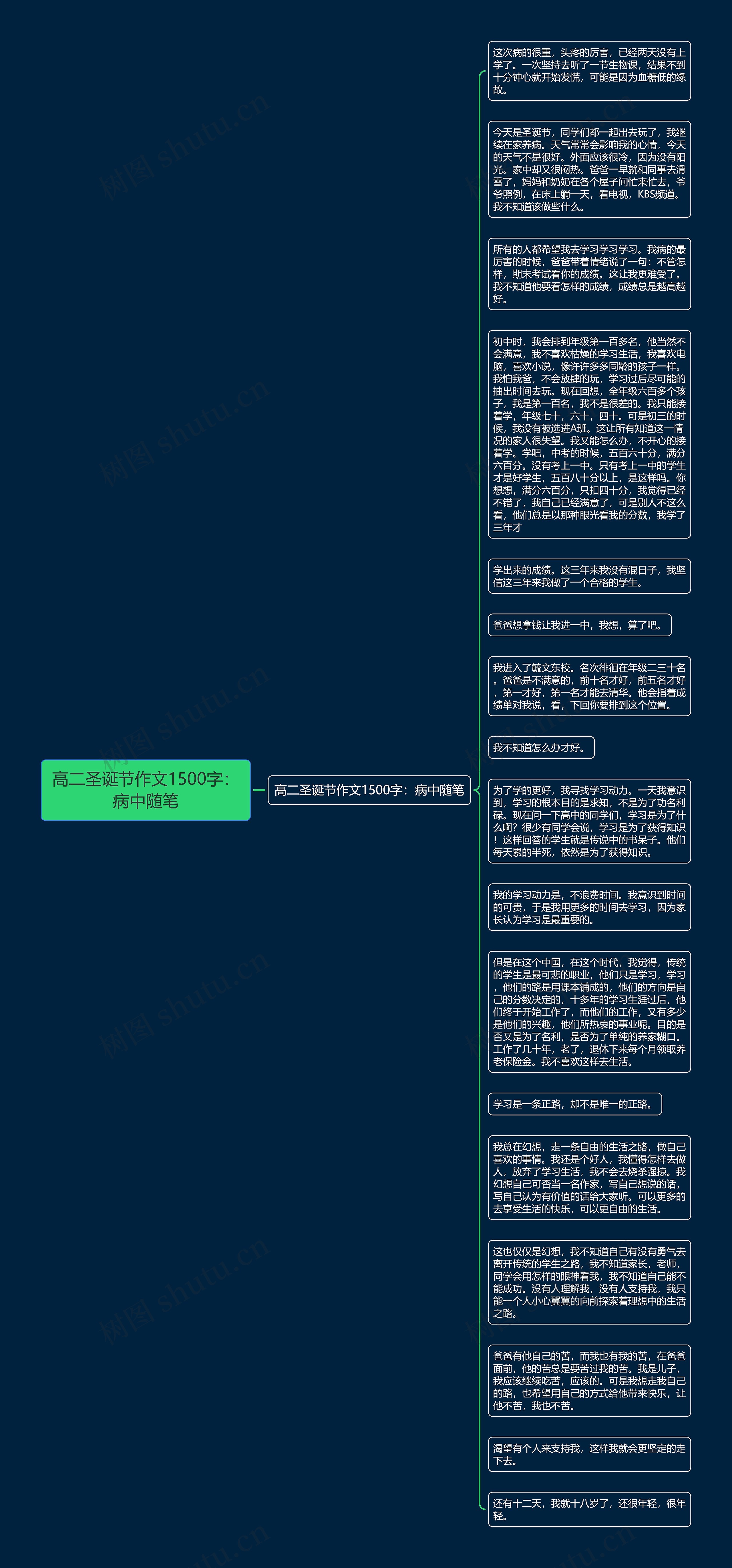 高二圣诞节作文1500字：病中随笔思维导图