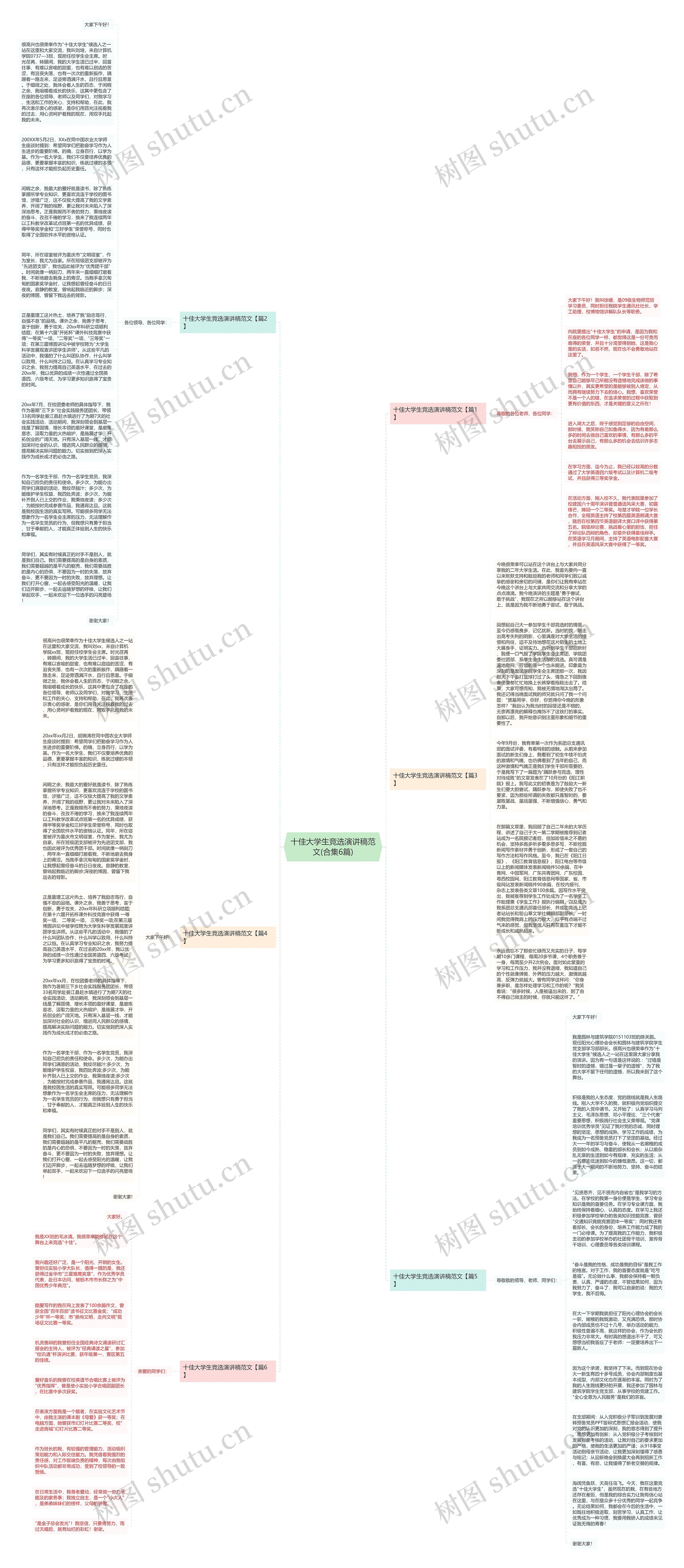 十佳大学生竞选演讲稿范文(合集6篇)思维导图