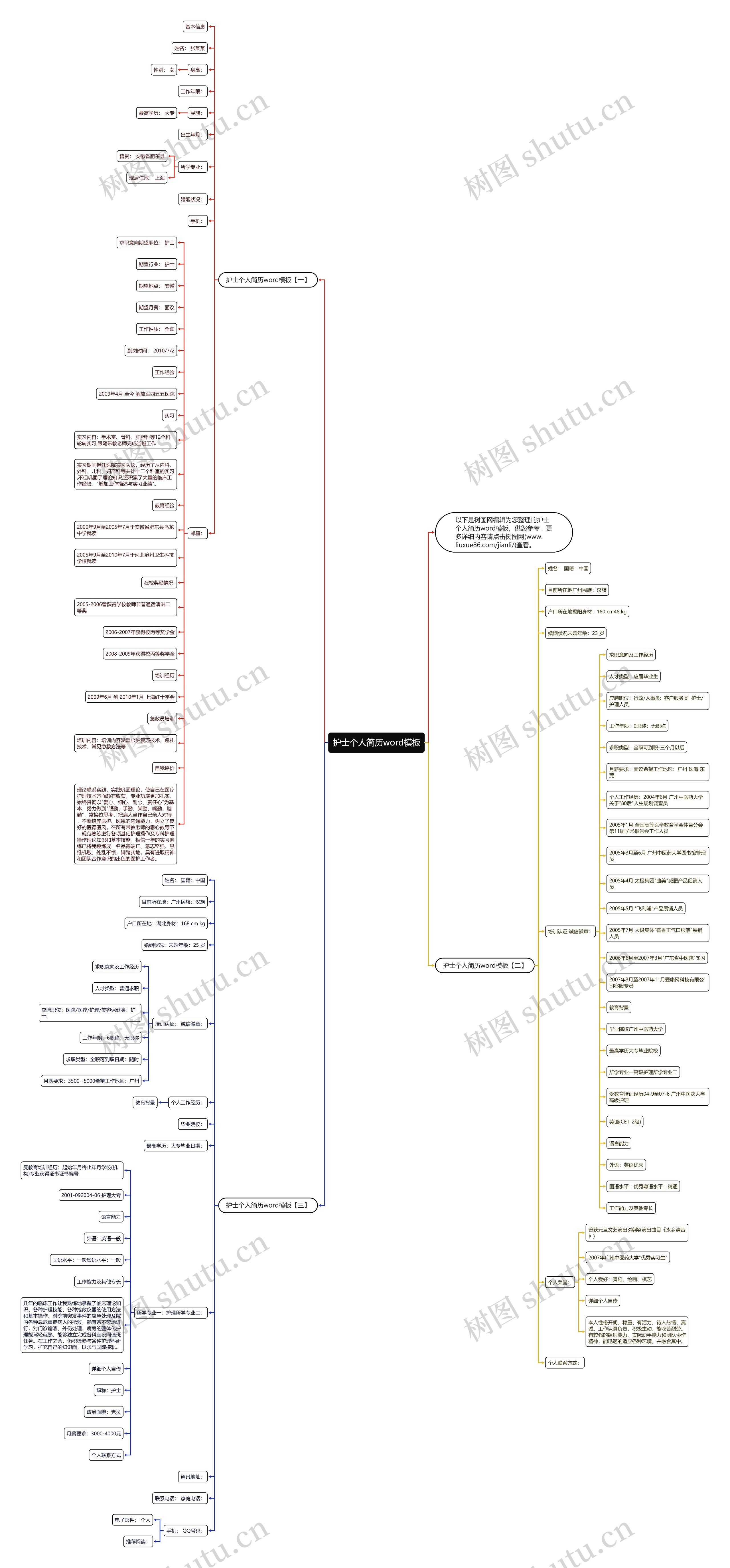护士个人简历word思维导图