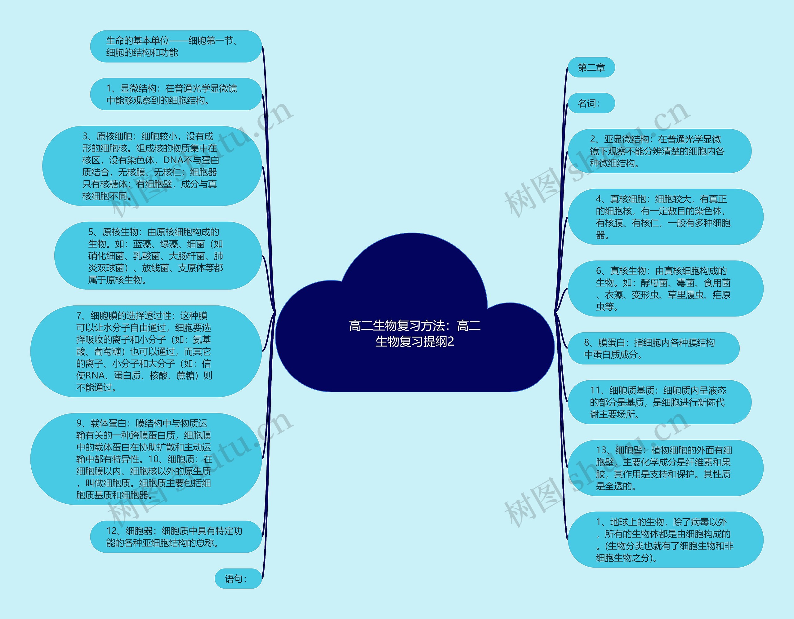 高二生物复习方法：高二生物复习提纲2思维导图