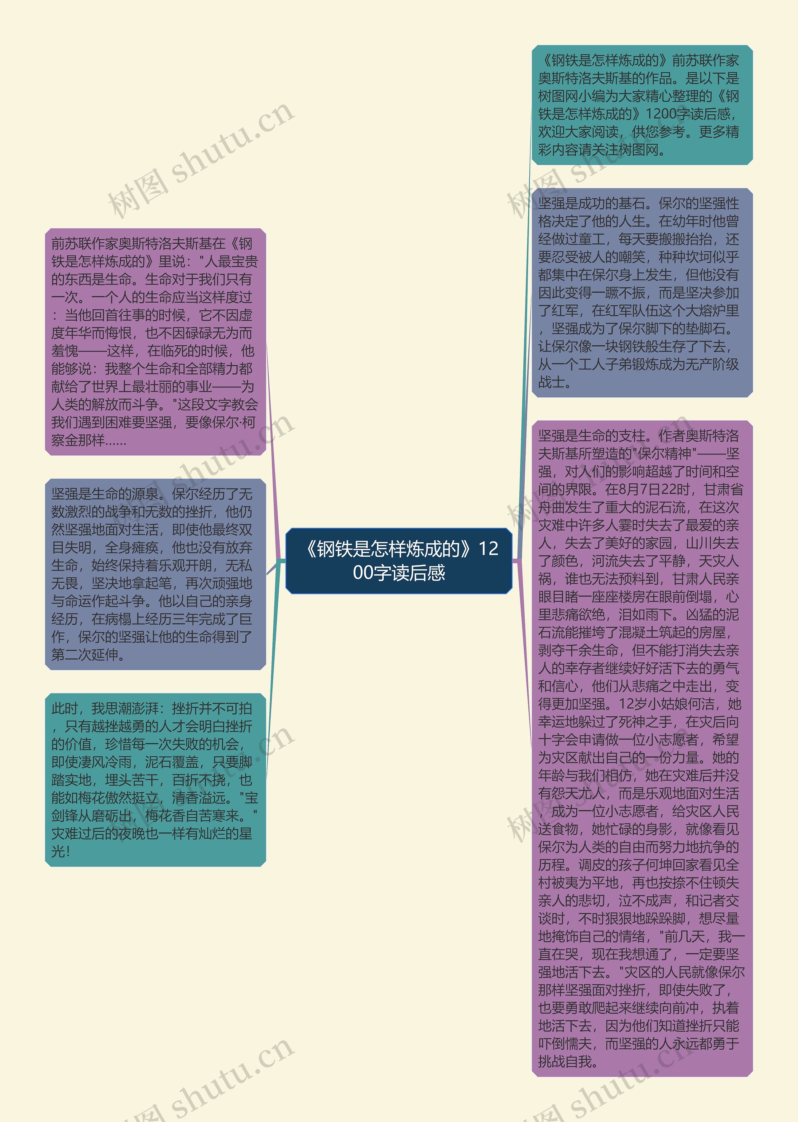 《钢铁是怎样炼成的》1200字读后感