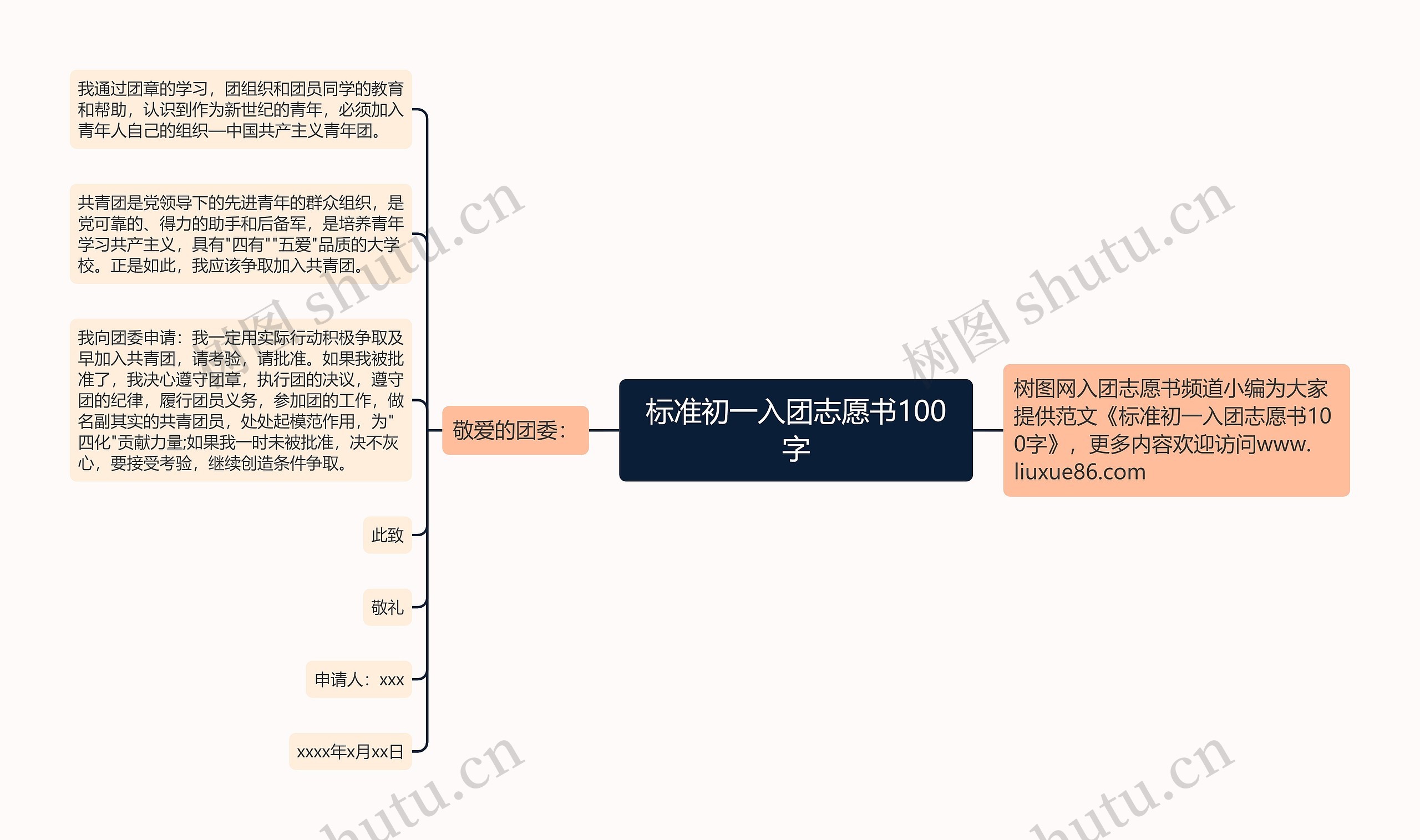 标准初一入团志愿书100字