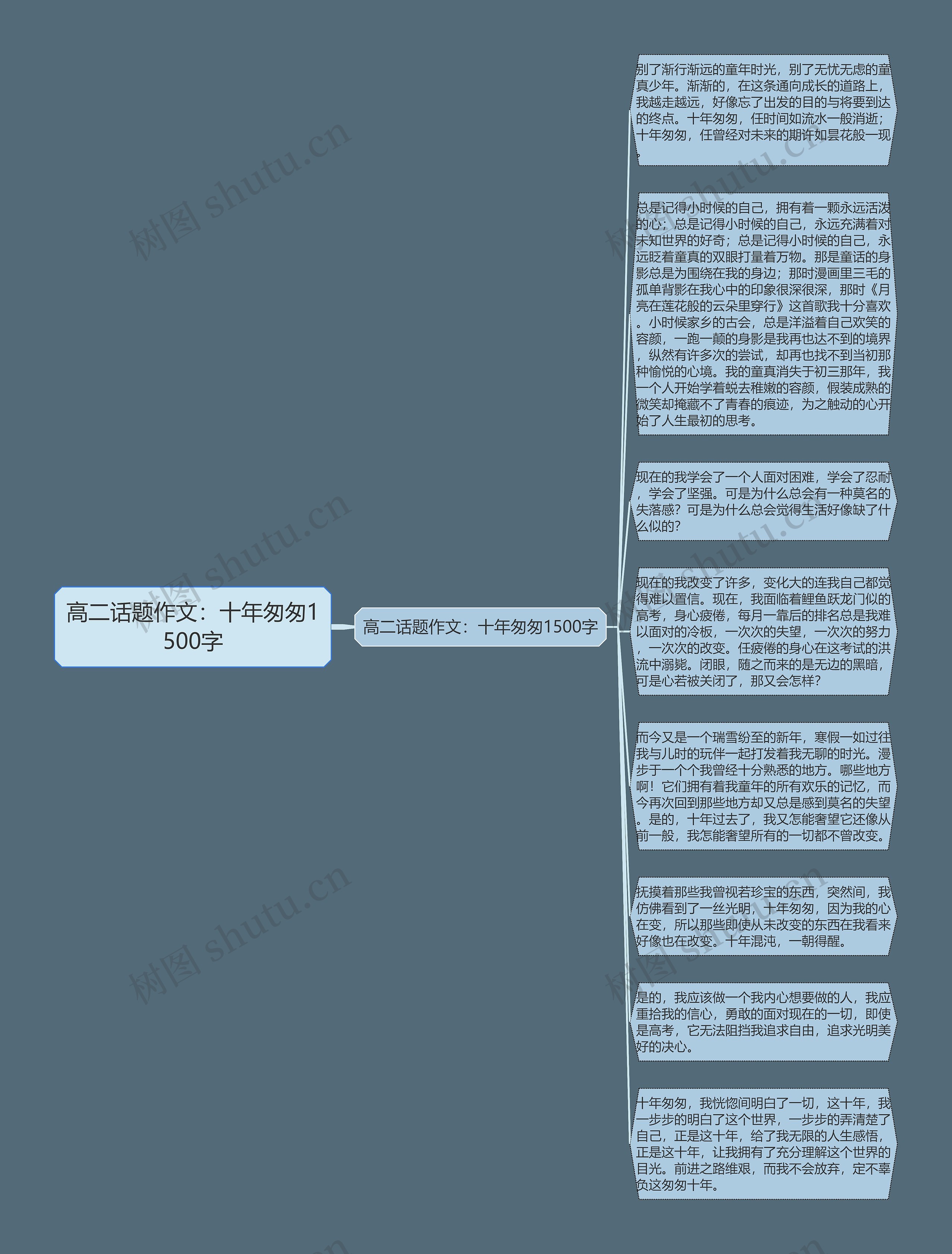 高二话题作文：十年匆匆1500字思维导图