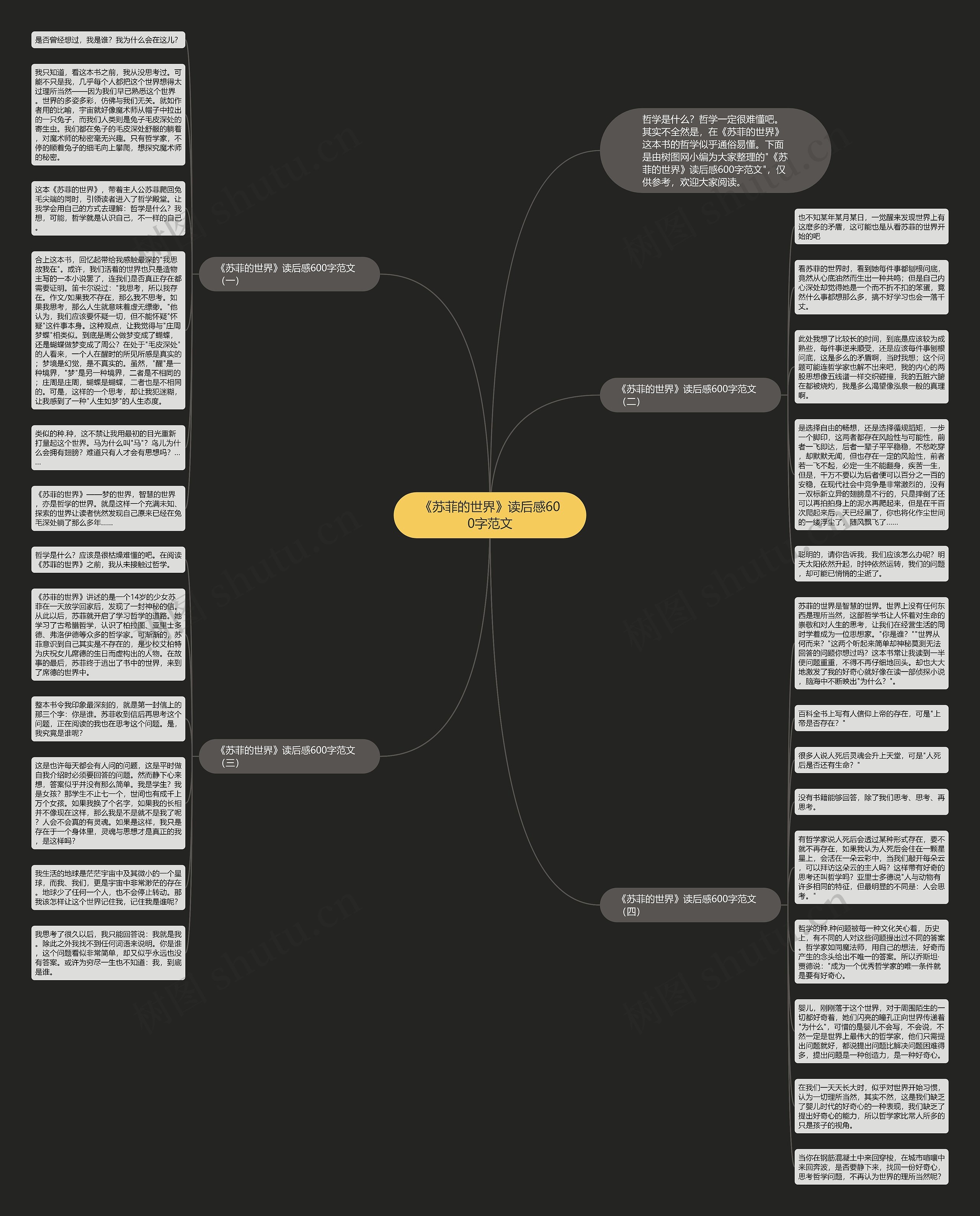 《苏菲的世界》读后感600字范文思维导图