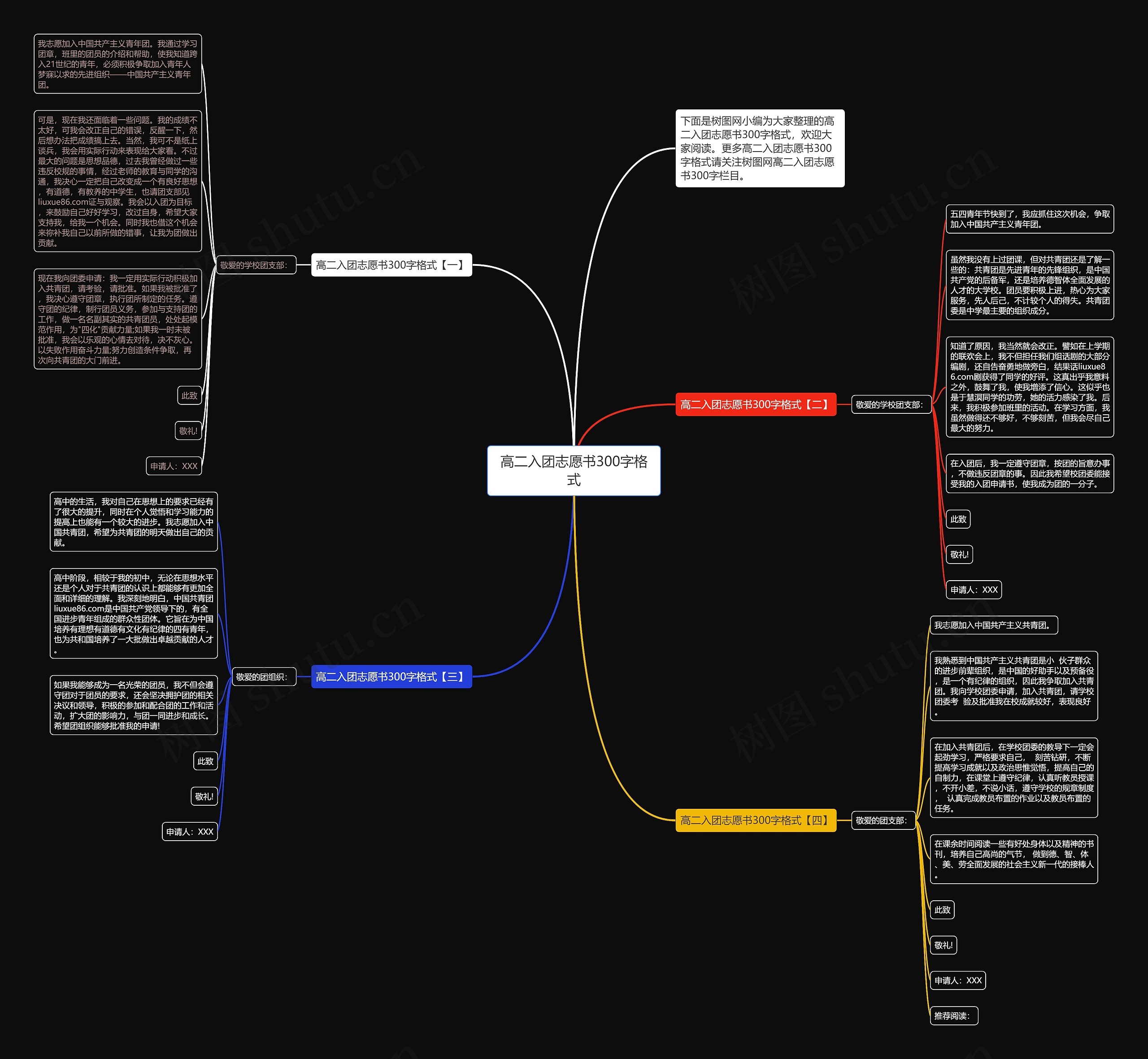 高二入团志愿书300字格式思维导图