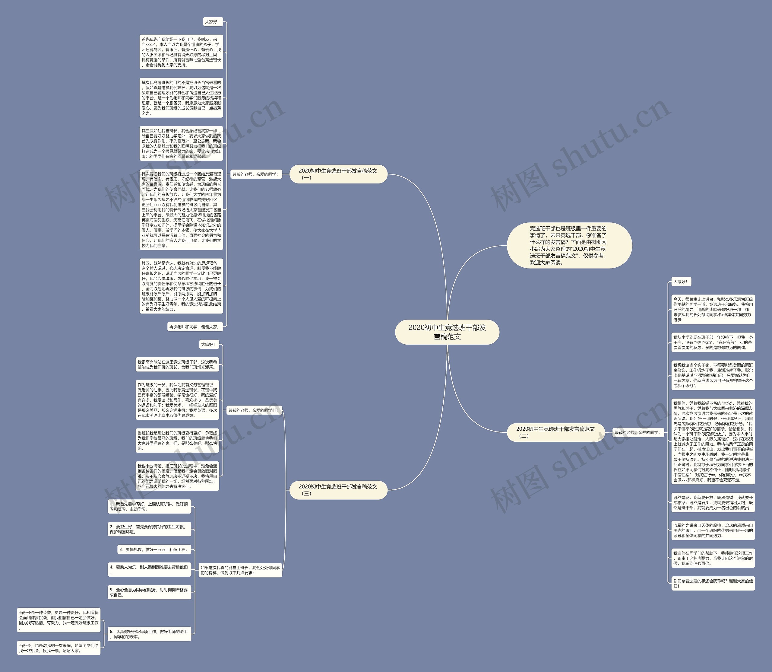2020初中生竞选班干部发言稿范文思维导图