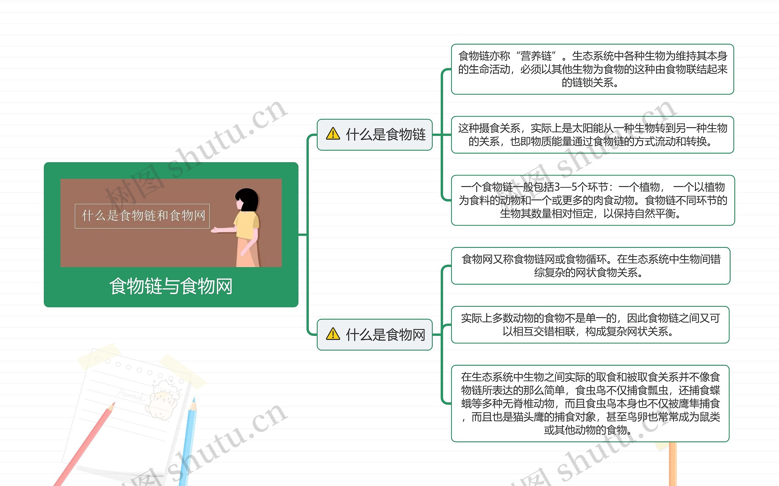 食物链与食物网思维导图