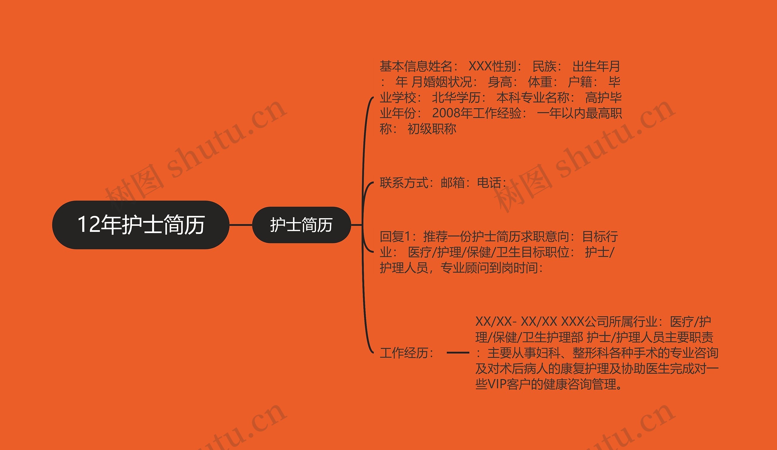 12年护士简历思维导图