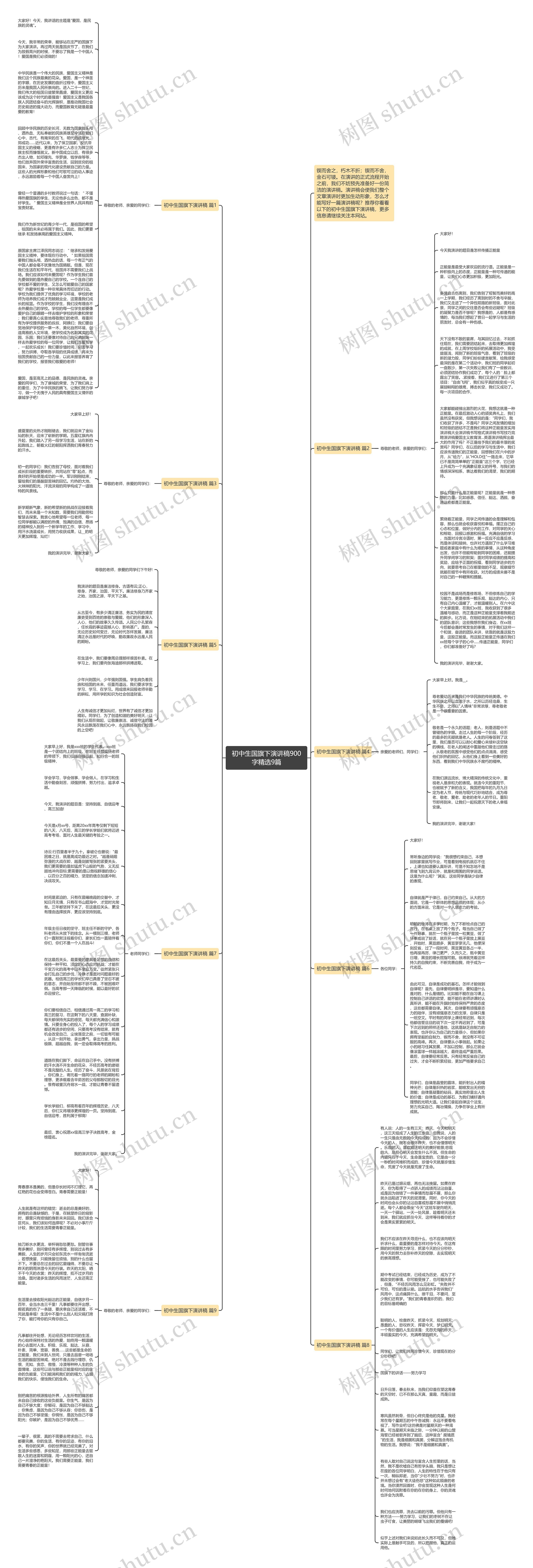 初中生国旗下演讲稿900字精选9篇思维导图