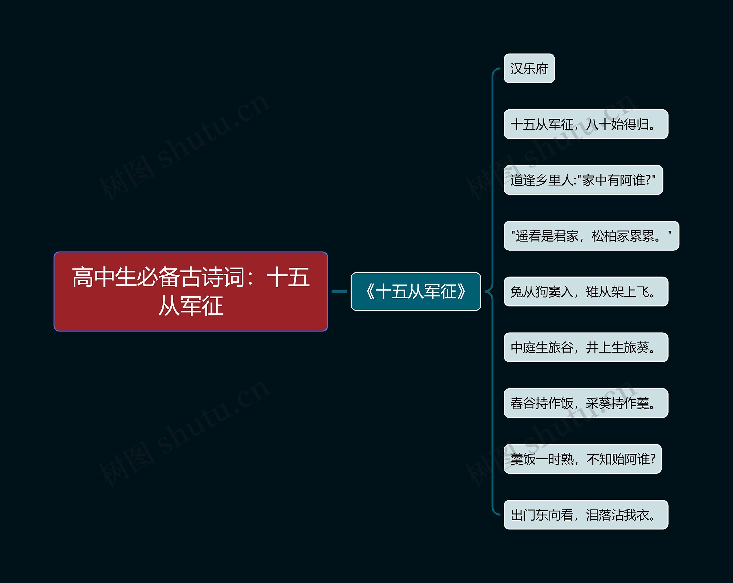 高中生必备古诗词：十五从军征思维导图