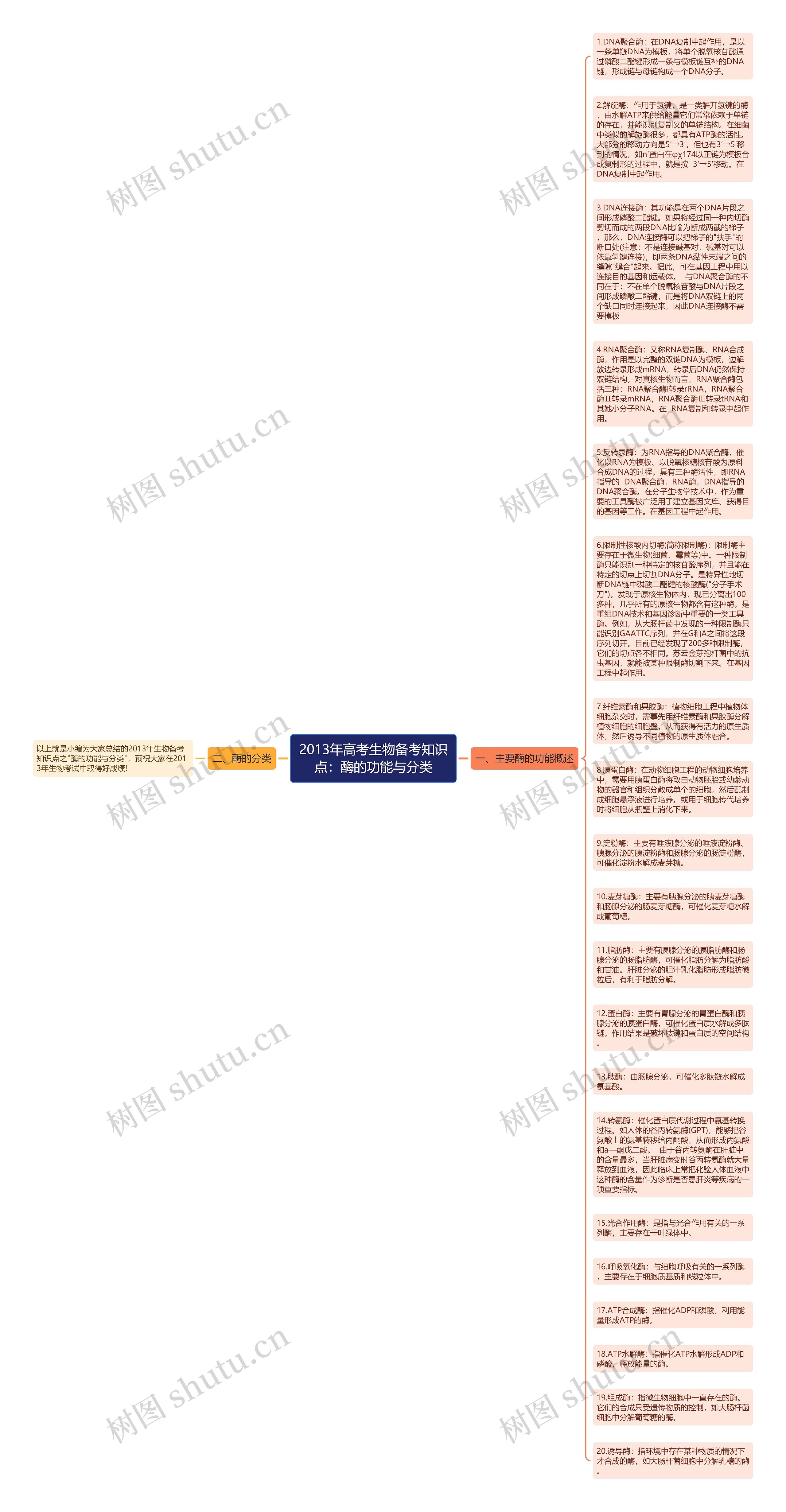 2013年高考生物备考知识点：酶的功能与分类