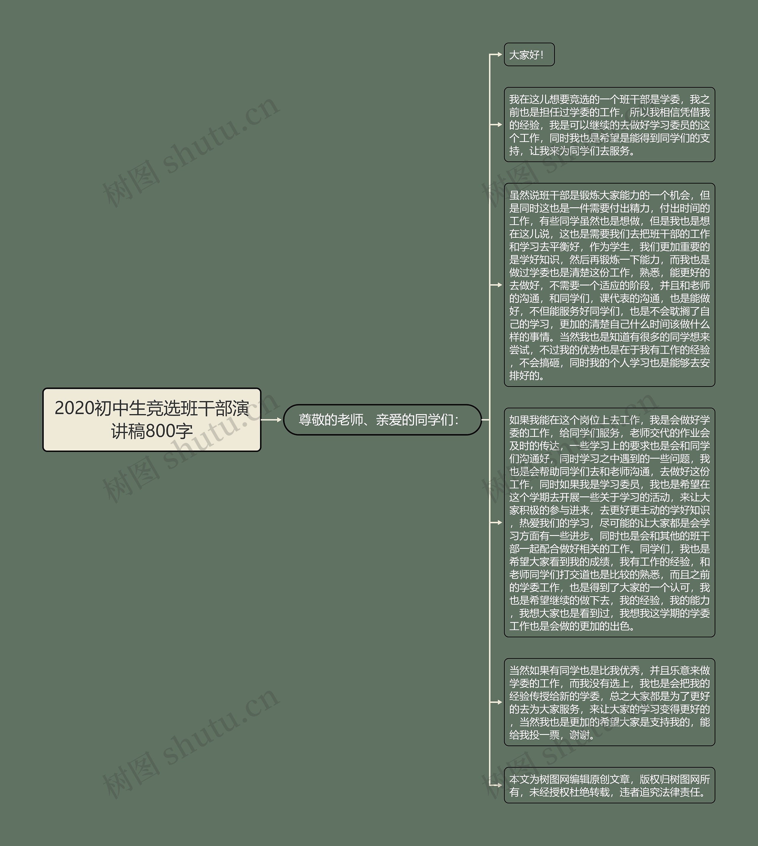 2020初中生竞选班干部演讲稿800字