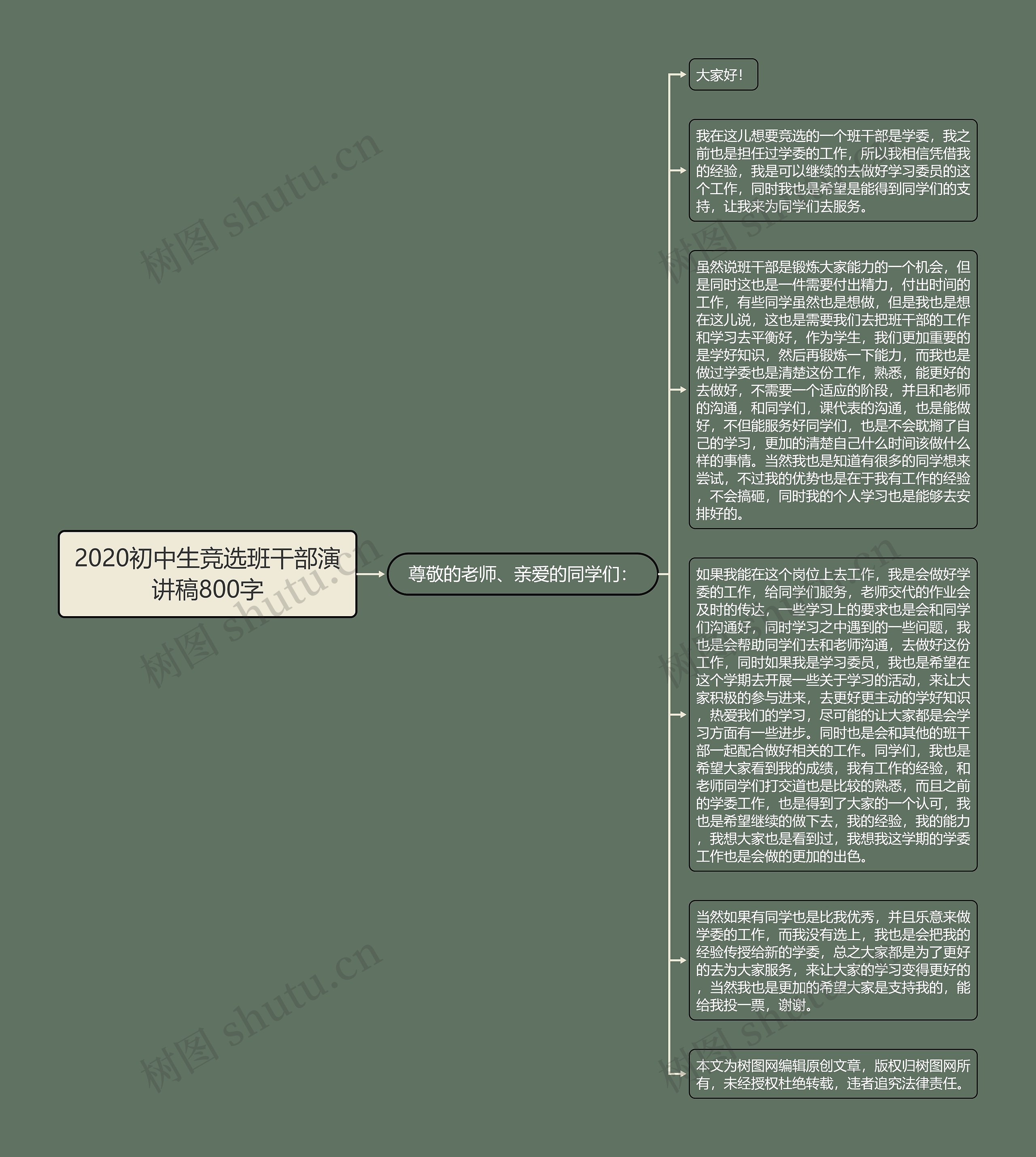 2020初中生竞选班干部演讲稿800字思维导图