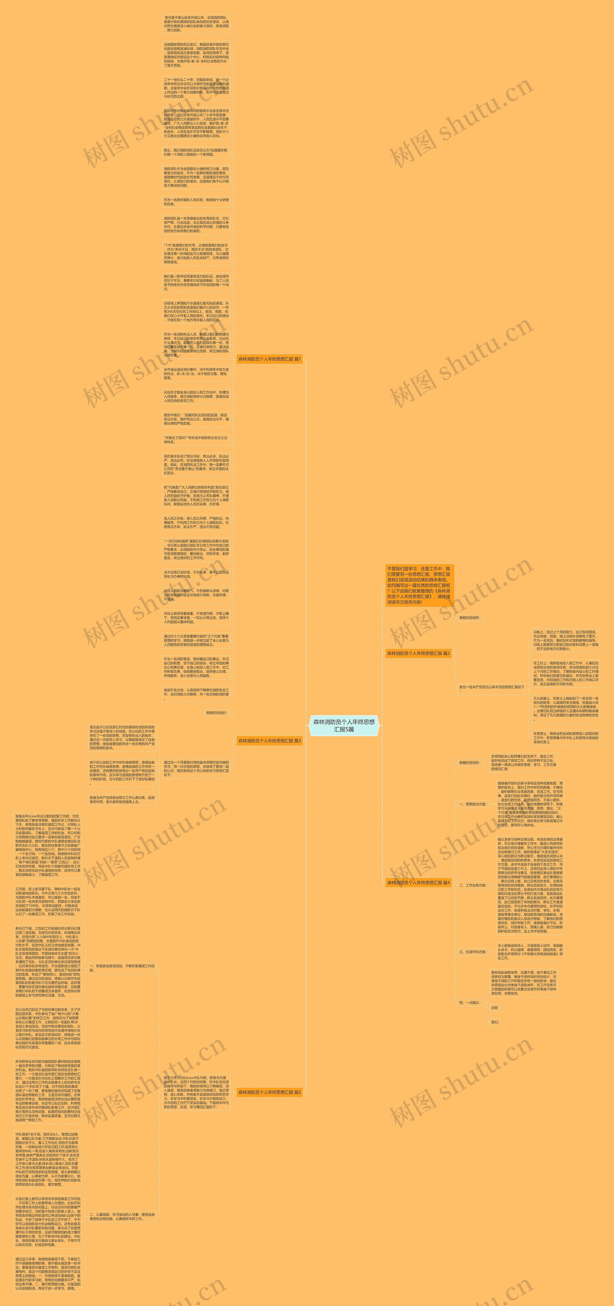 森林消防员个人年终思想汇报5篇思维导图