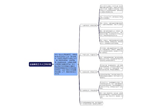 企业新员工个人工作计划
