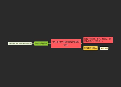 中山护士/护理漂亮的求职简历