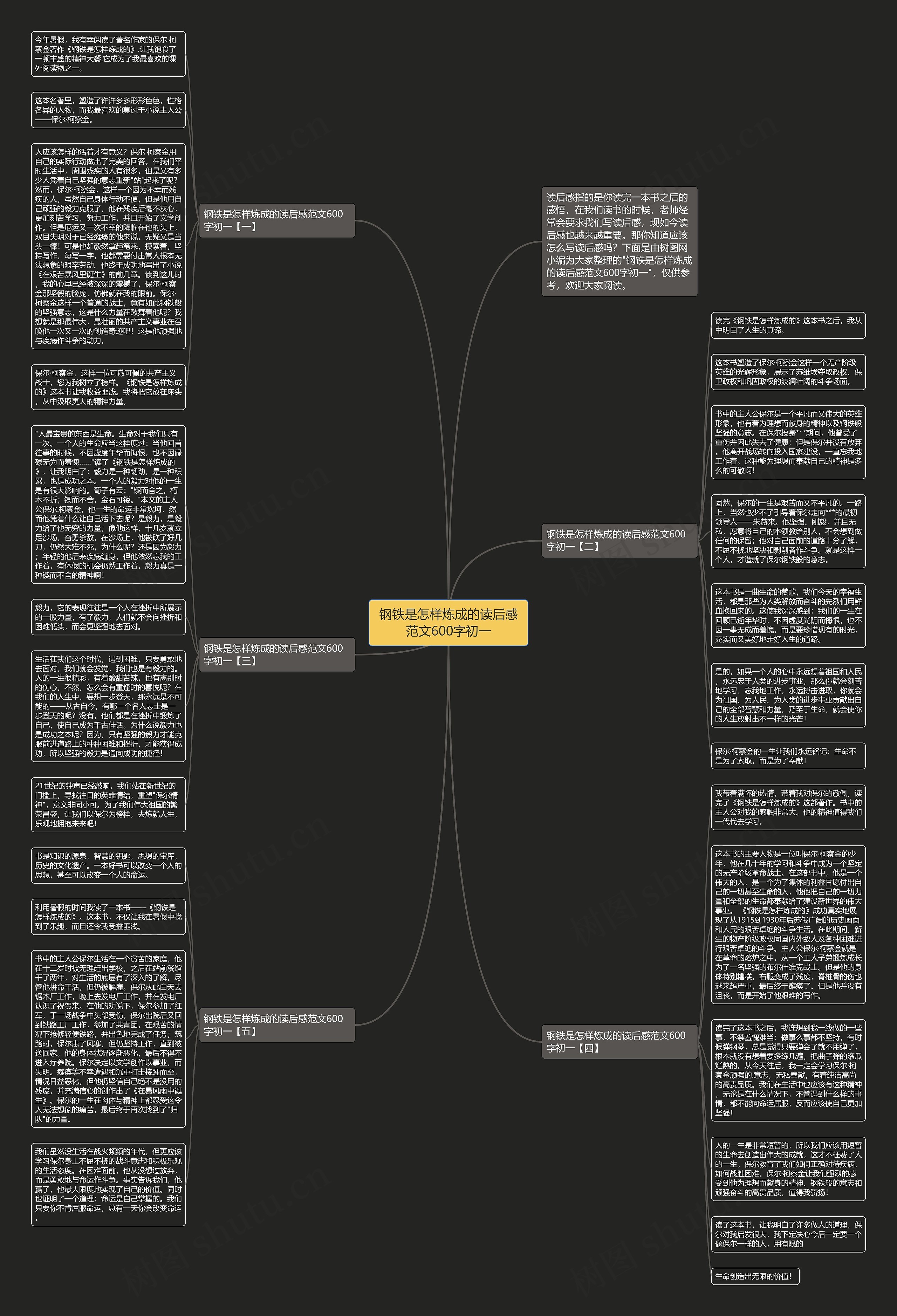 钢铁是怎样炼成的读后感范文600字初一思维导图