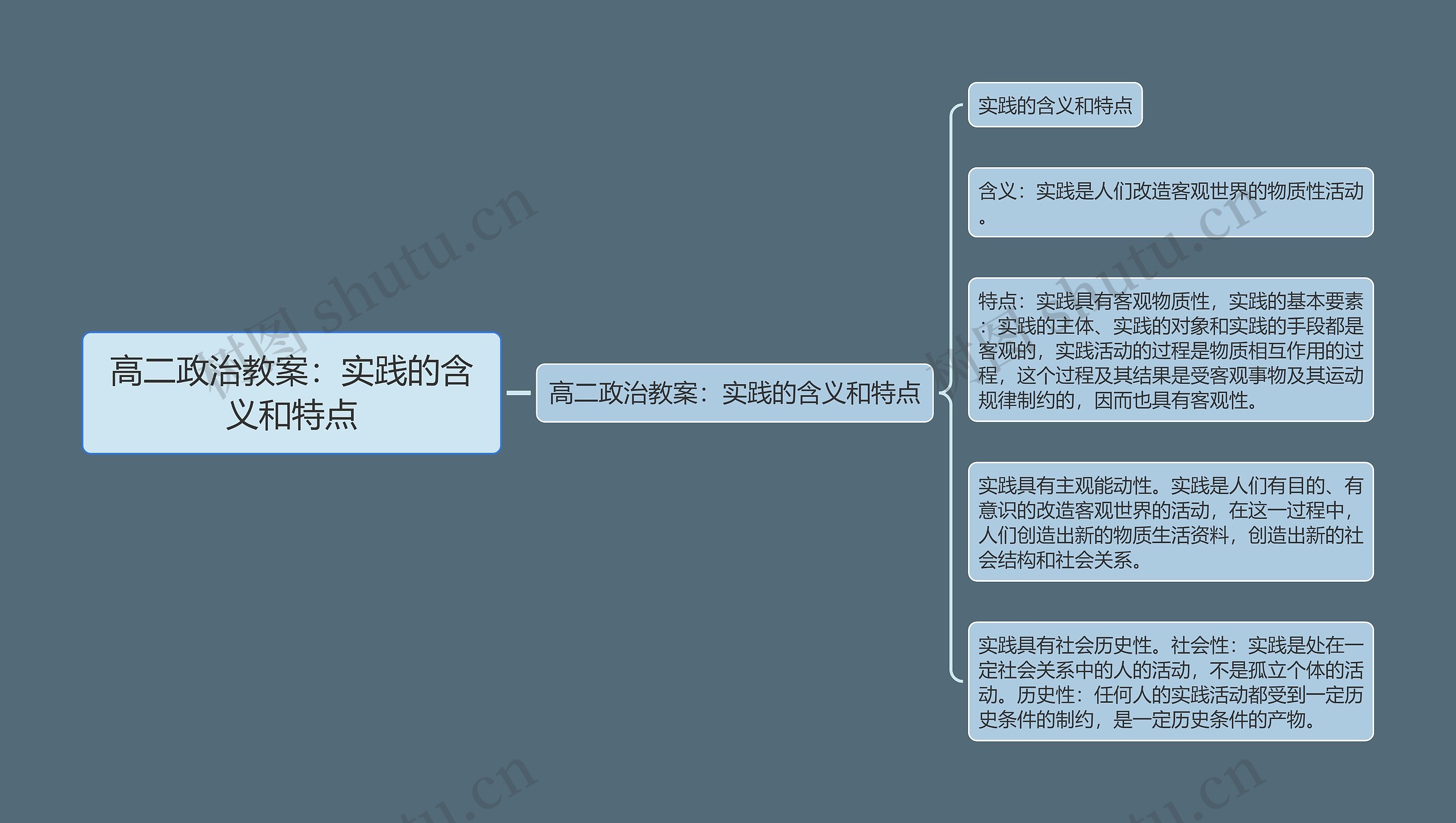 高二政治教案：实践的含义和特点思维导图