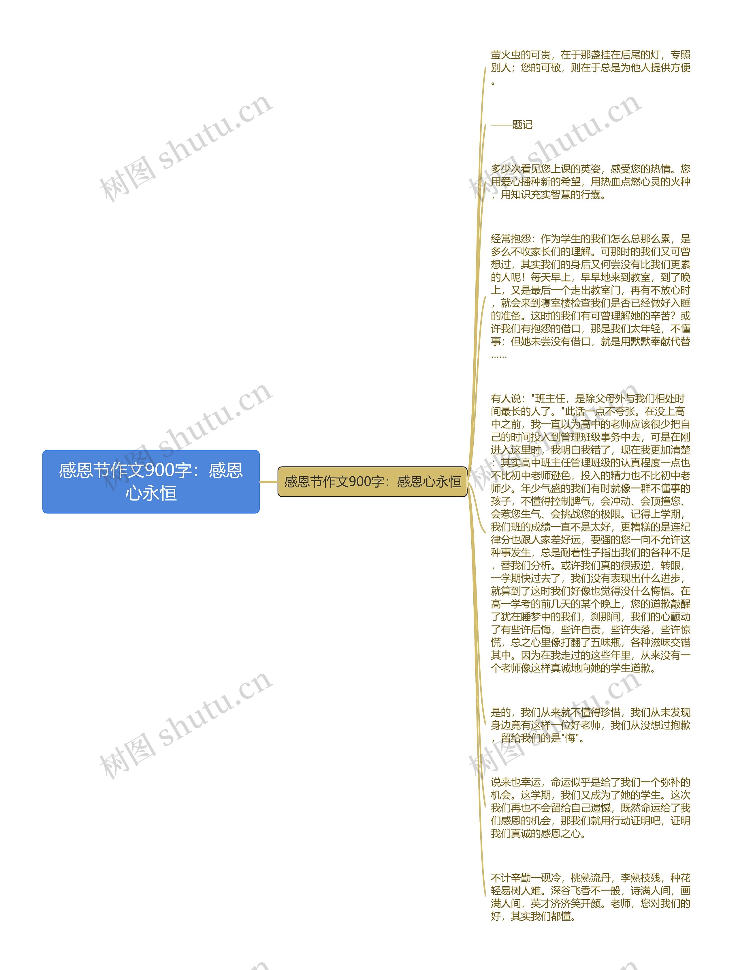 感恩节作文900字：感恩心永恒