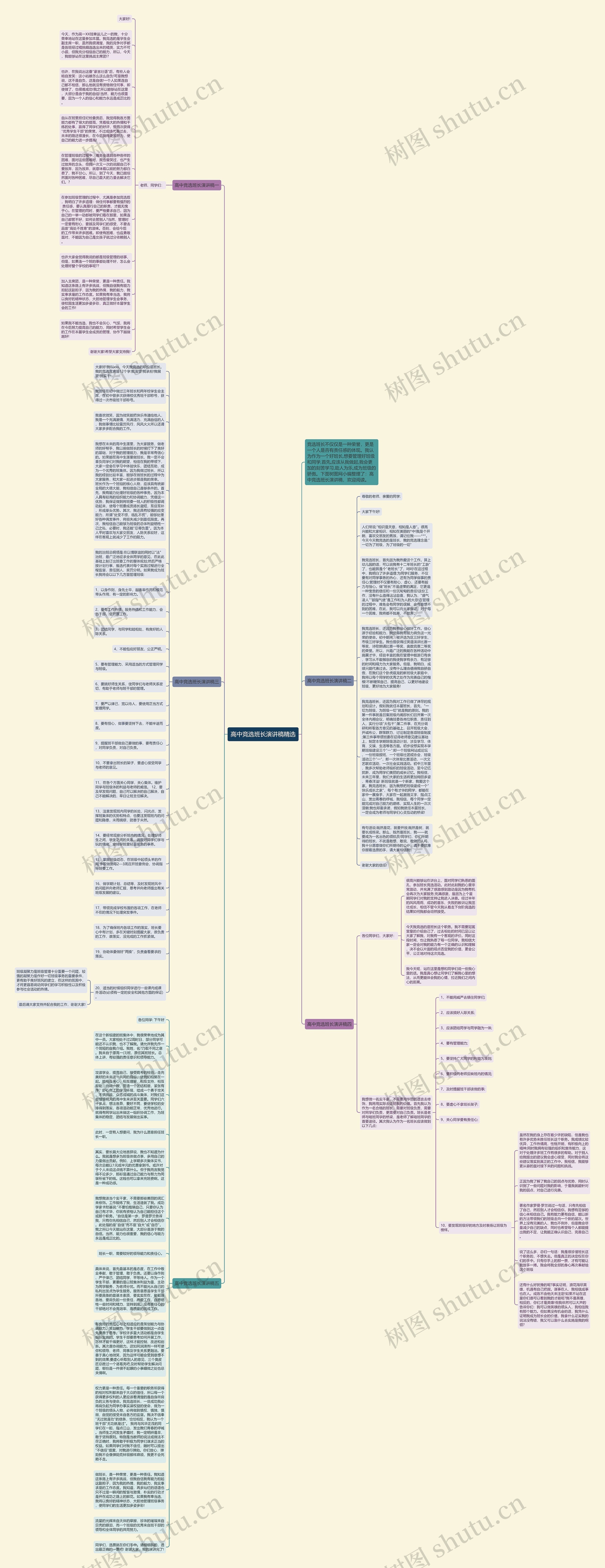 高中竞选班长演讲稿精选思维导图