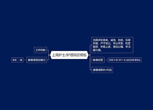 上海护士/护理简历模板